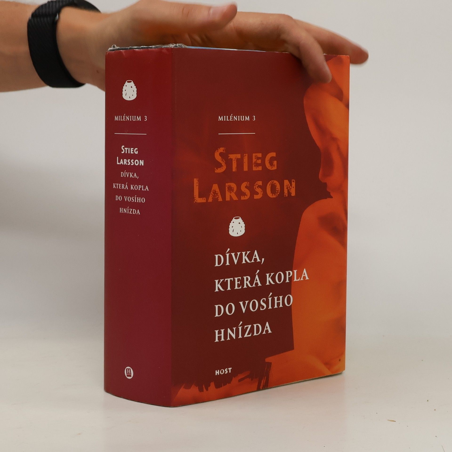 Stieg Larsson Dívka, která kopla do vosího hnízda