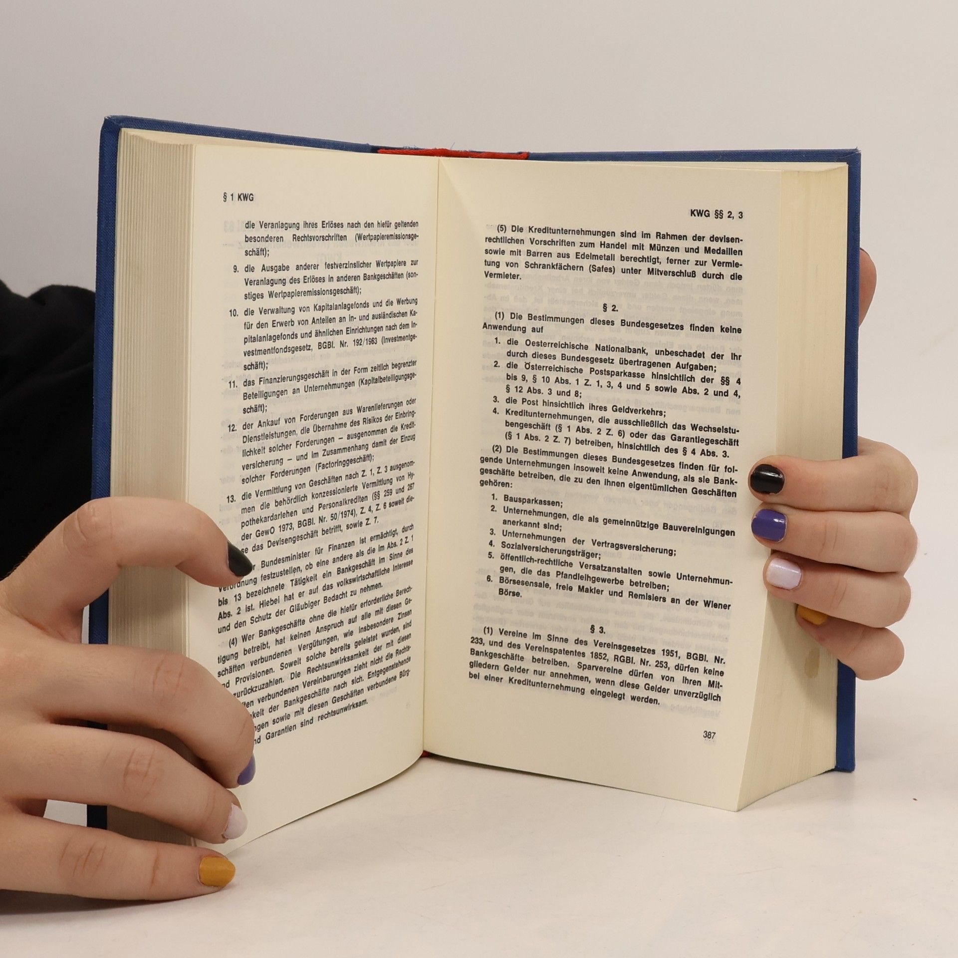 Autorenkollektiv Strafrechtliche Nebengesetze