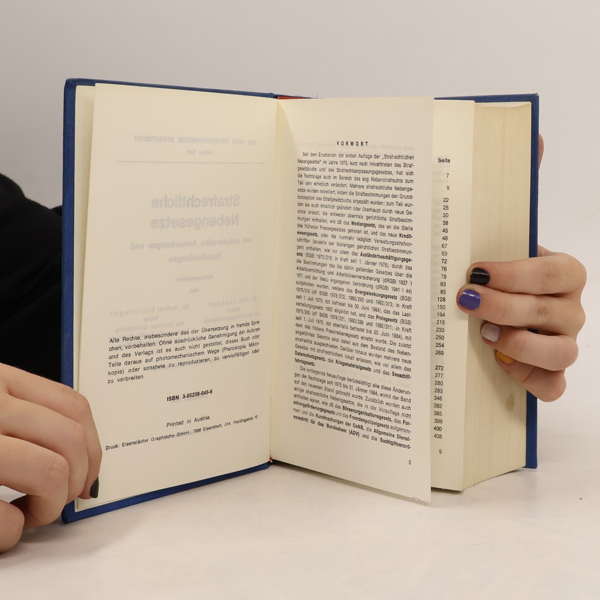 Autorenkollektiv Strafrechtliche Nebengesetze