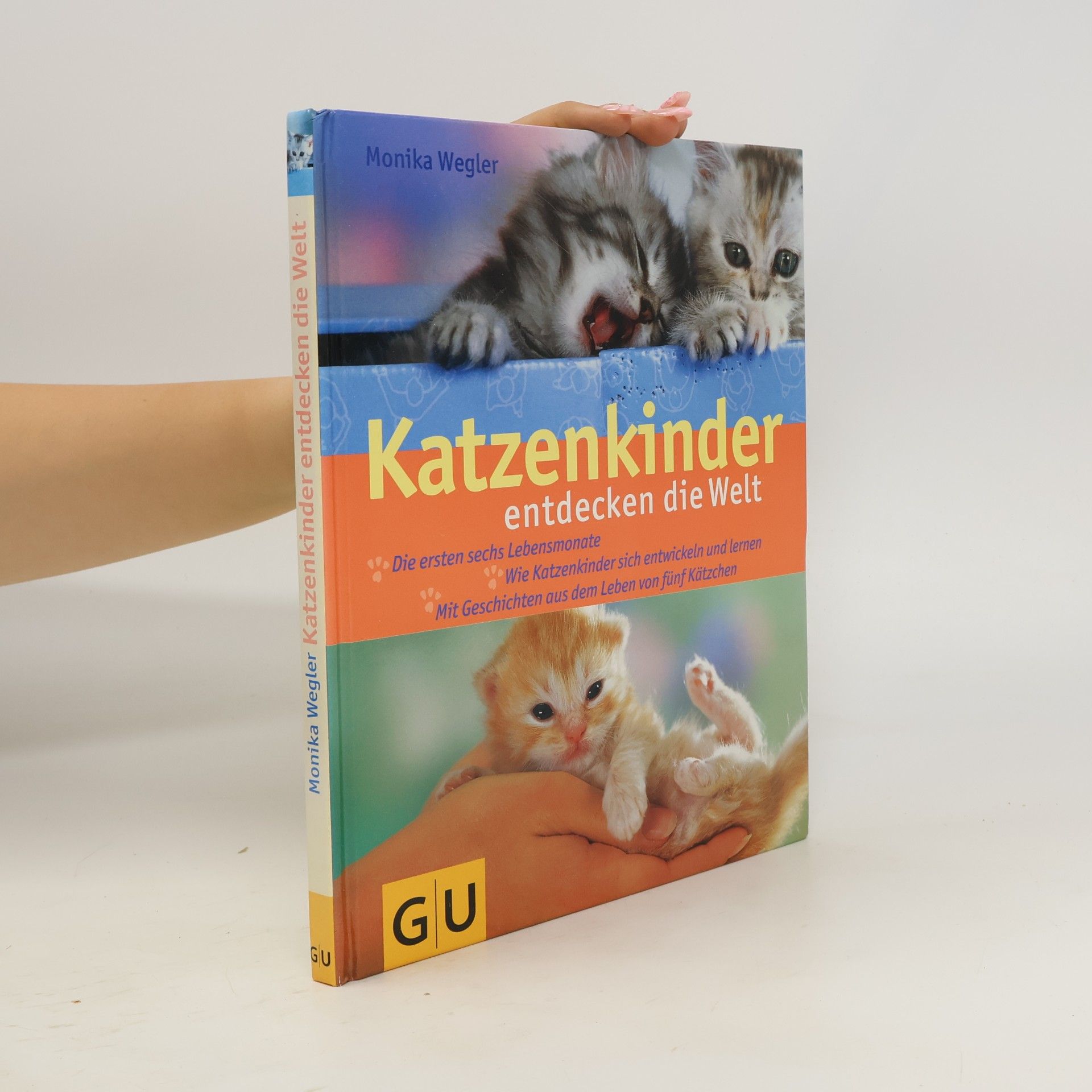 Monika Wegler Katzenkinder. Entdecken die Welt