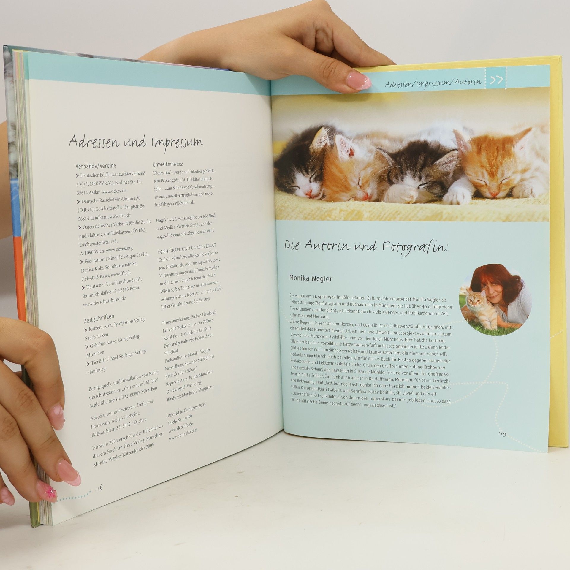 Monika Wegler Katzenkinder. Entdecken die Welt