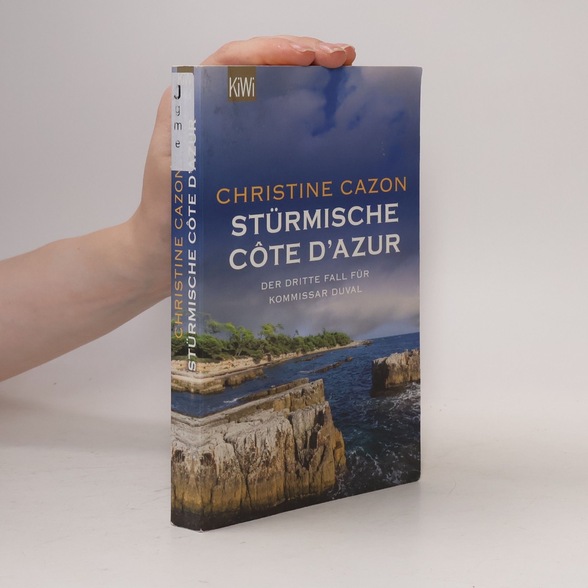 Christine Cazon Stürmische Cote d´Azur