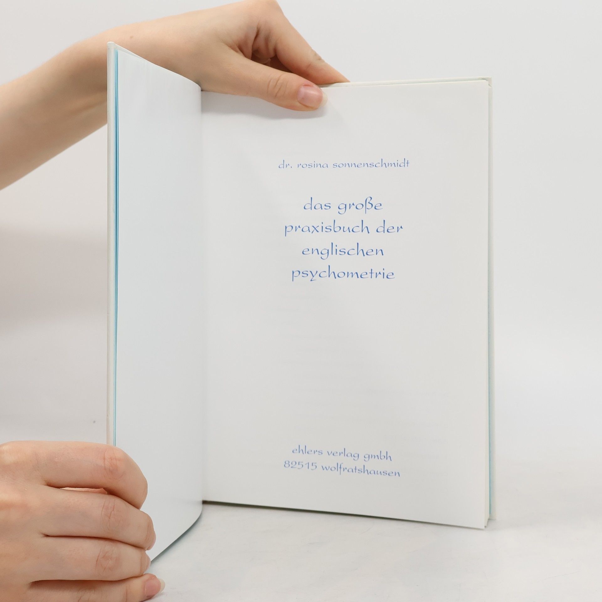 Rosina Sonnenschmidt Das große Praxisbuch der Englischen Psychometrie