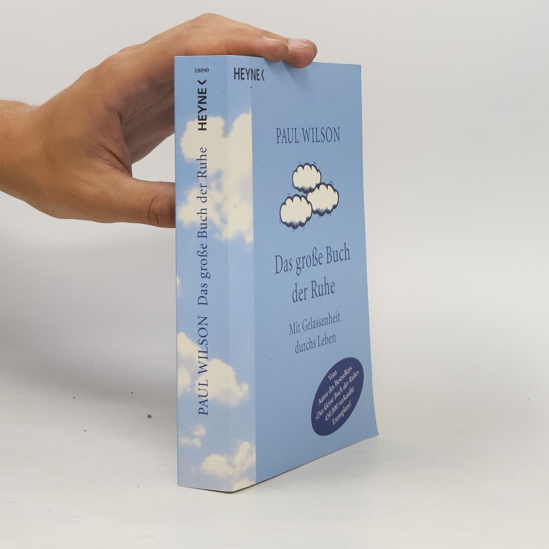 Paul Wilson Das große Buch der Ruhe