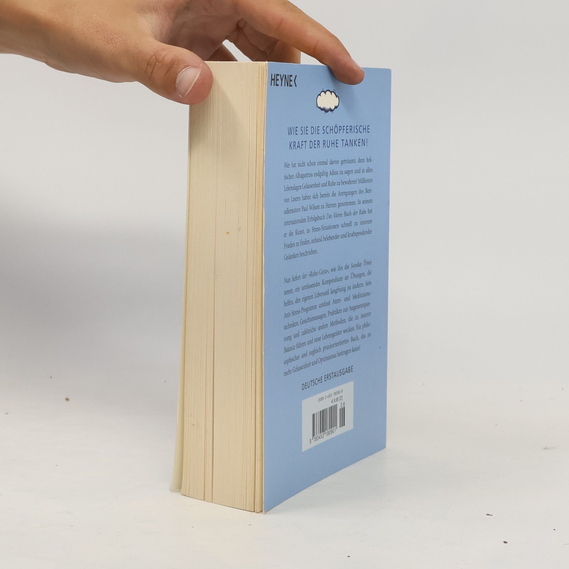 Paul Wilson Das große Buch der Ruhe