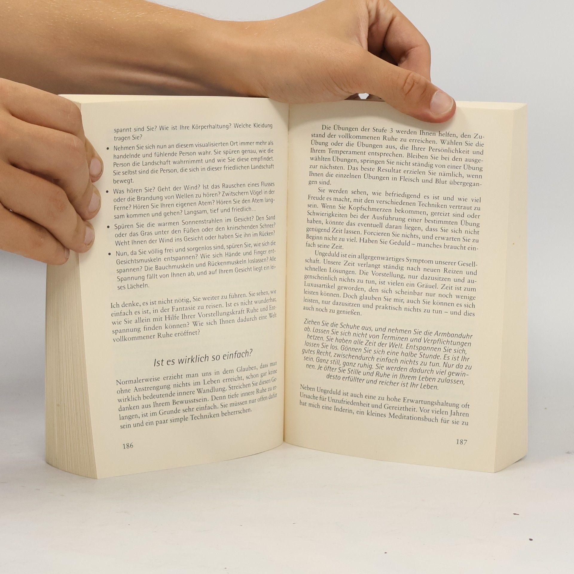 Paul Wilson Das große Buch der Ruhe