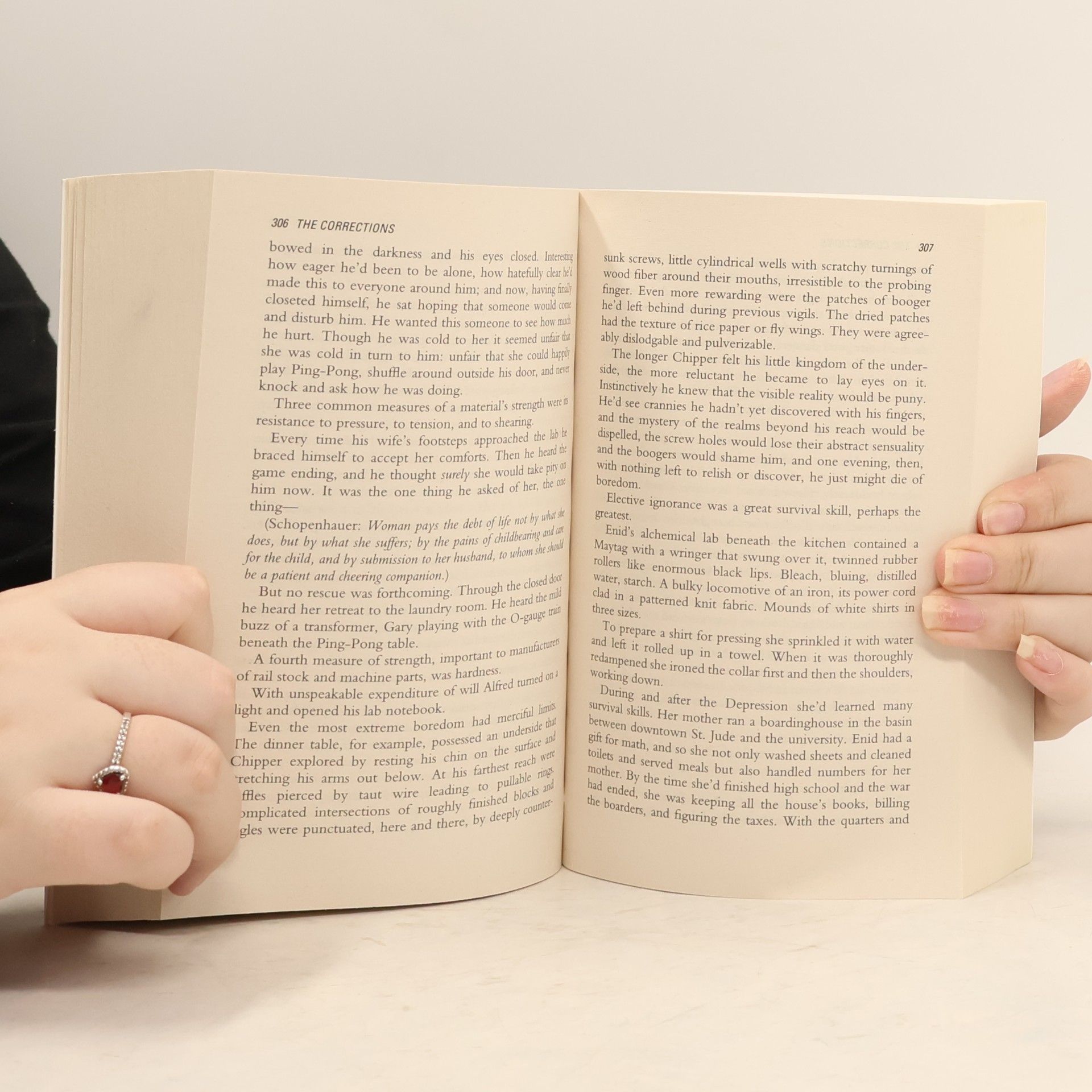 Jonathan Franzen The corrections