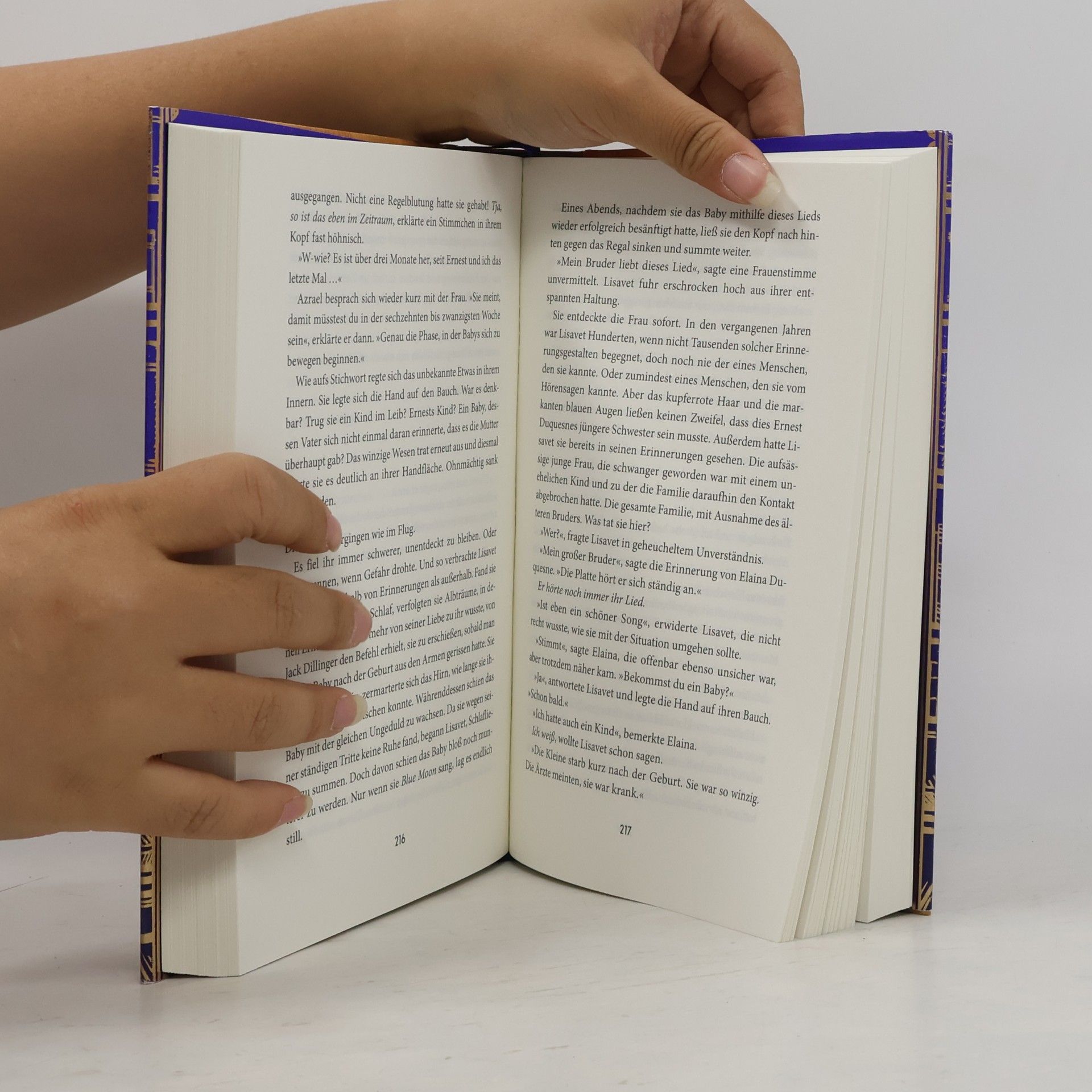Hayley Gelfuso Das Buch der verlorenen Stunden