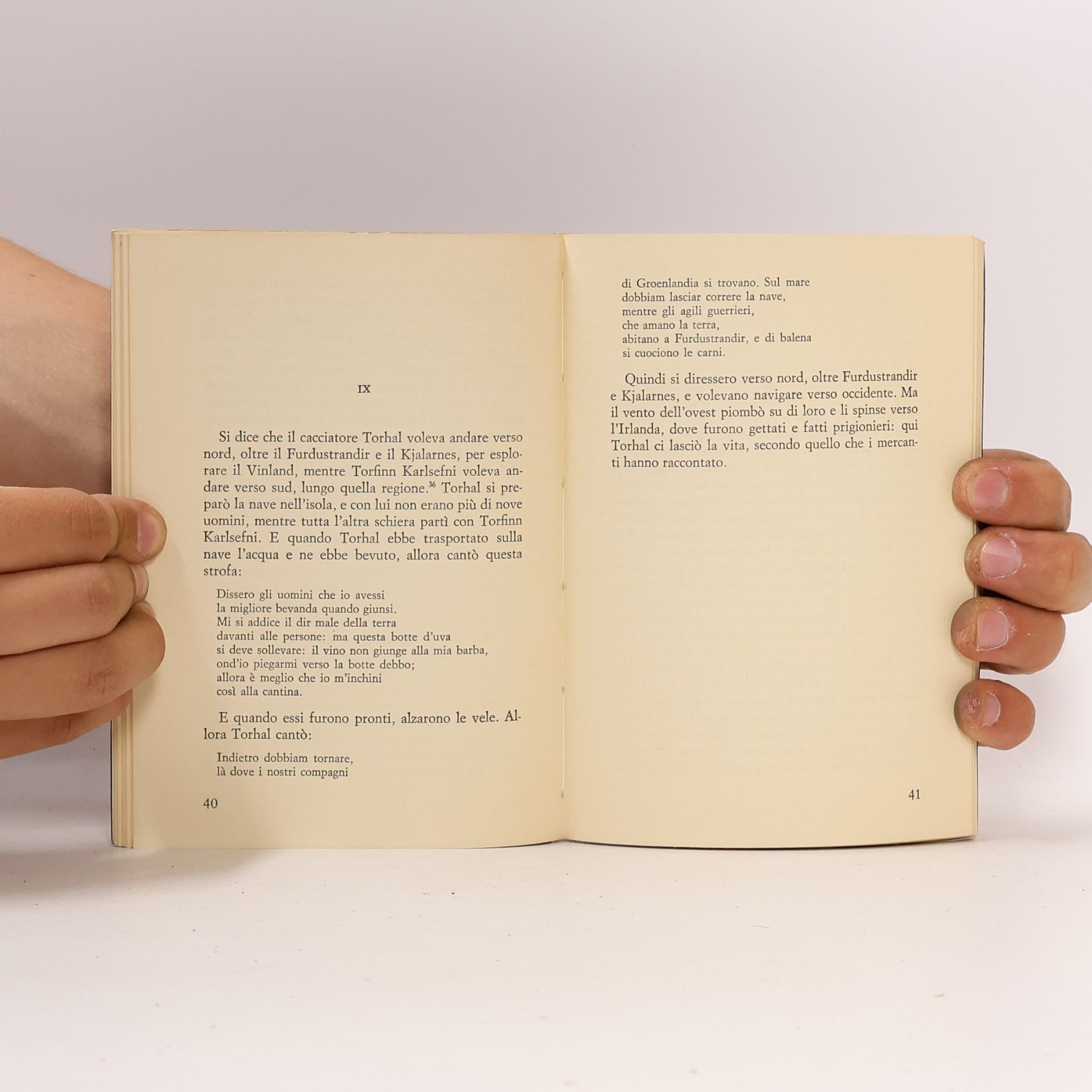 Various authors Saga di Eirik il rosso