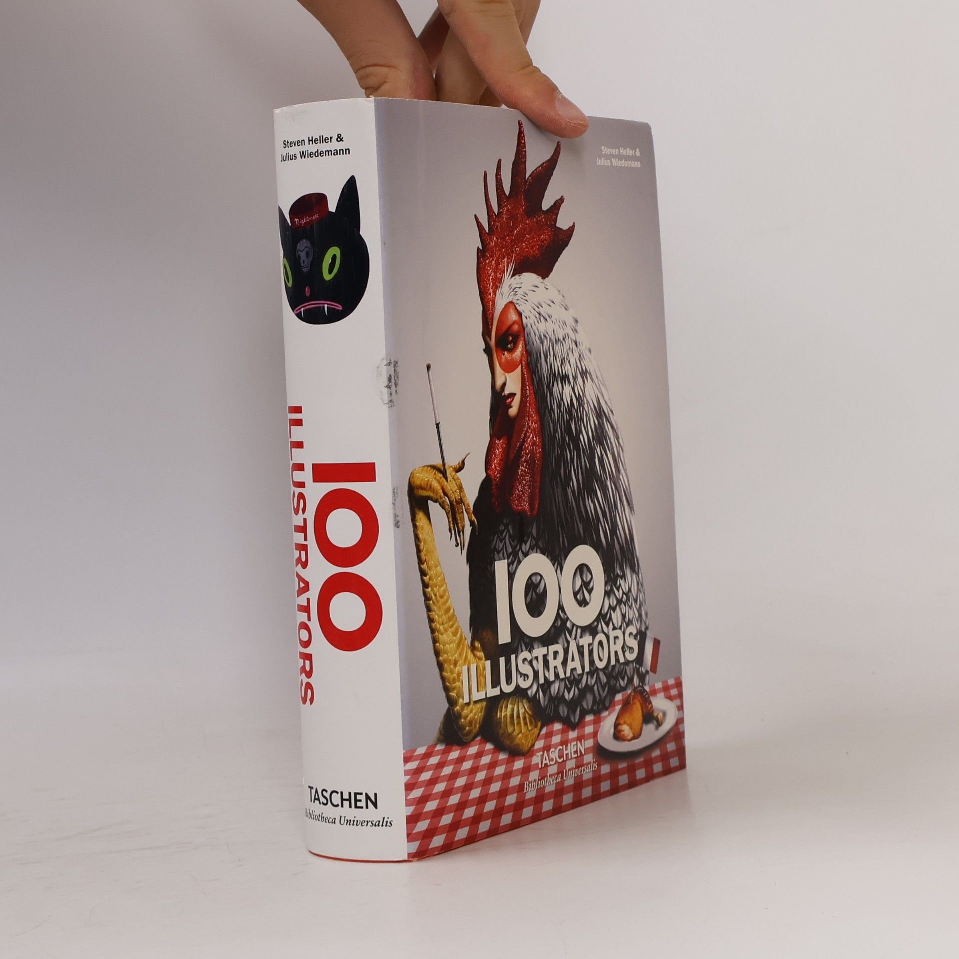 100 illustrators