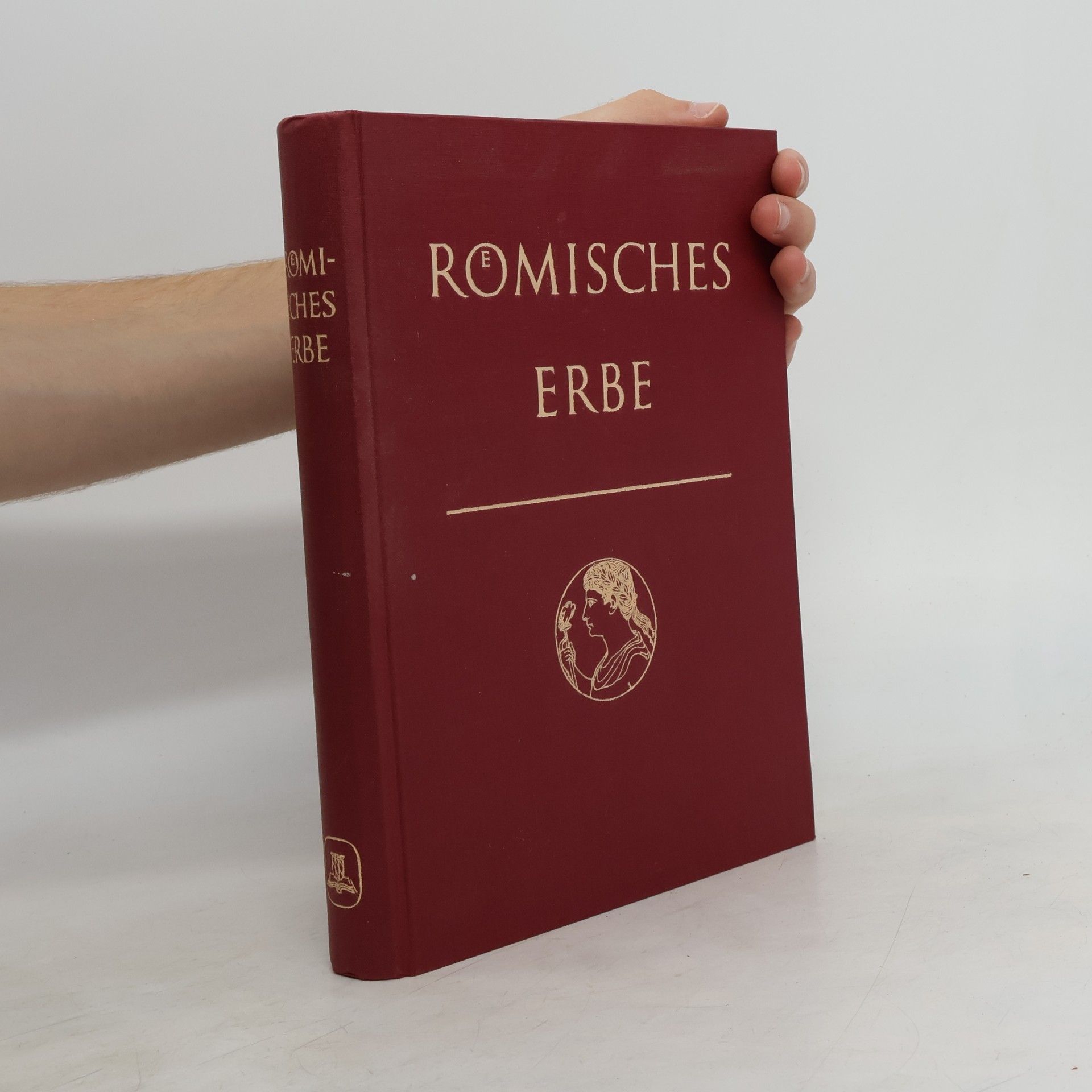 Kolektív autorov Römisches Erbe