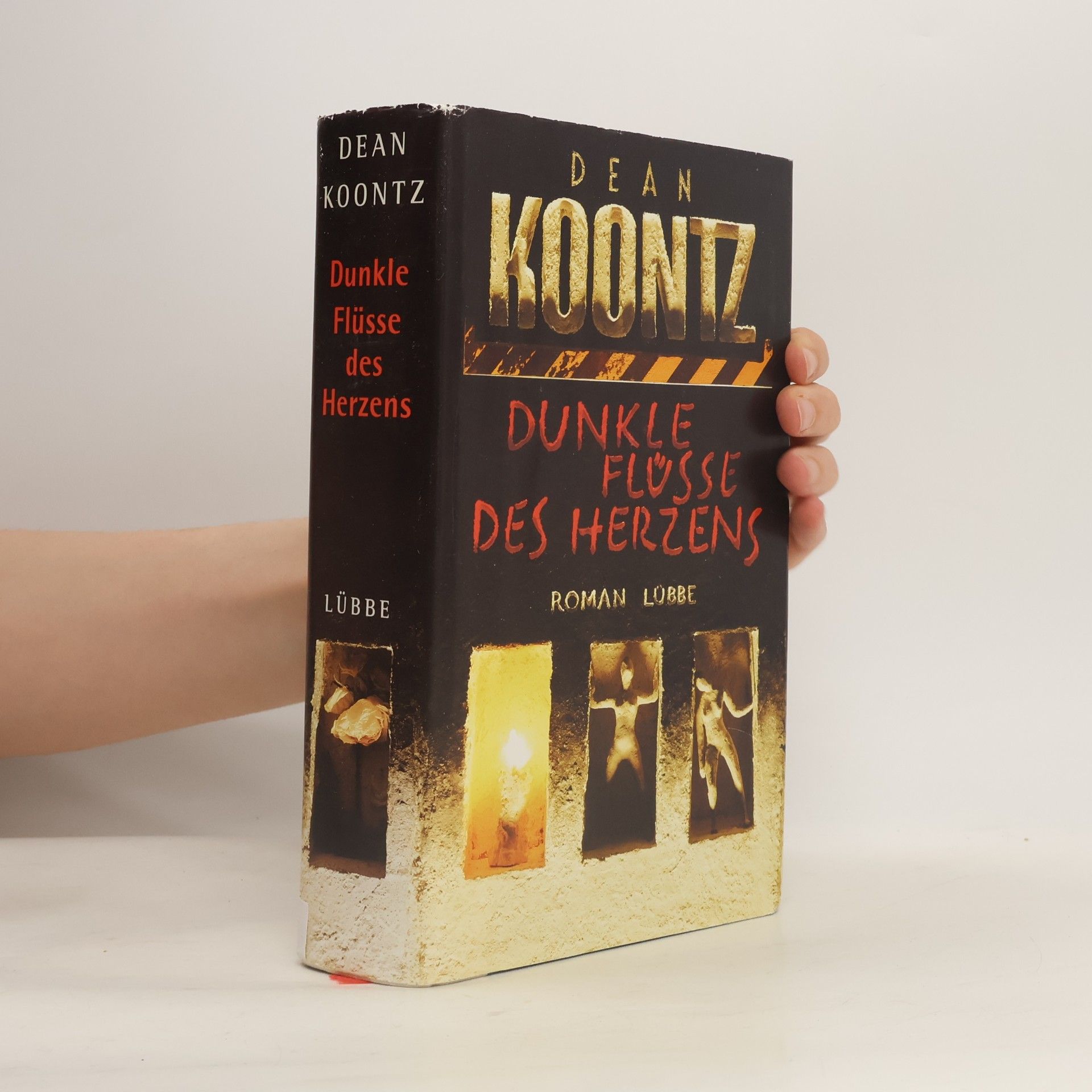 Dean Ray Koontz Dunkle Flüsse des Herzens