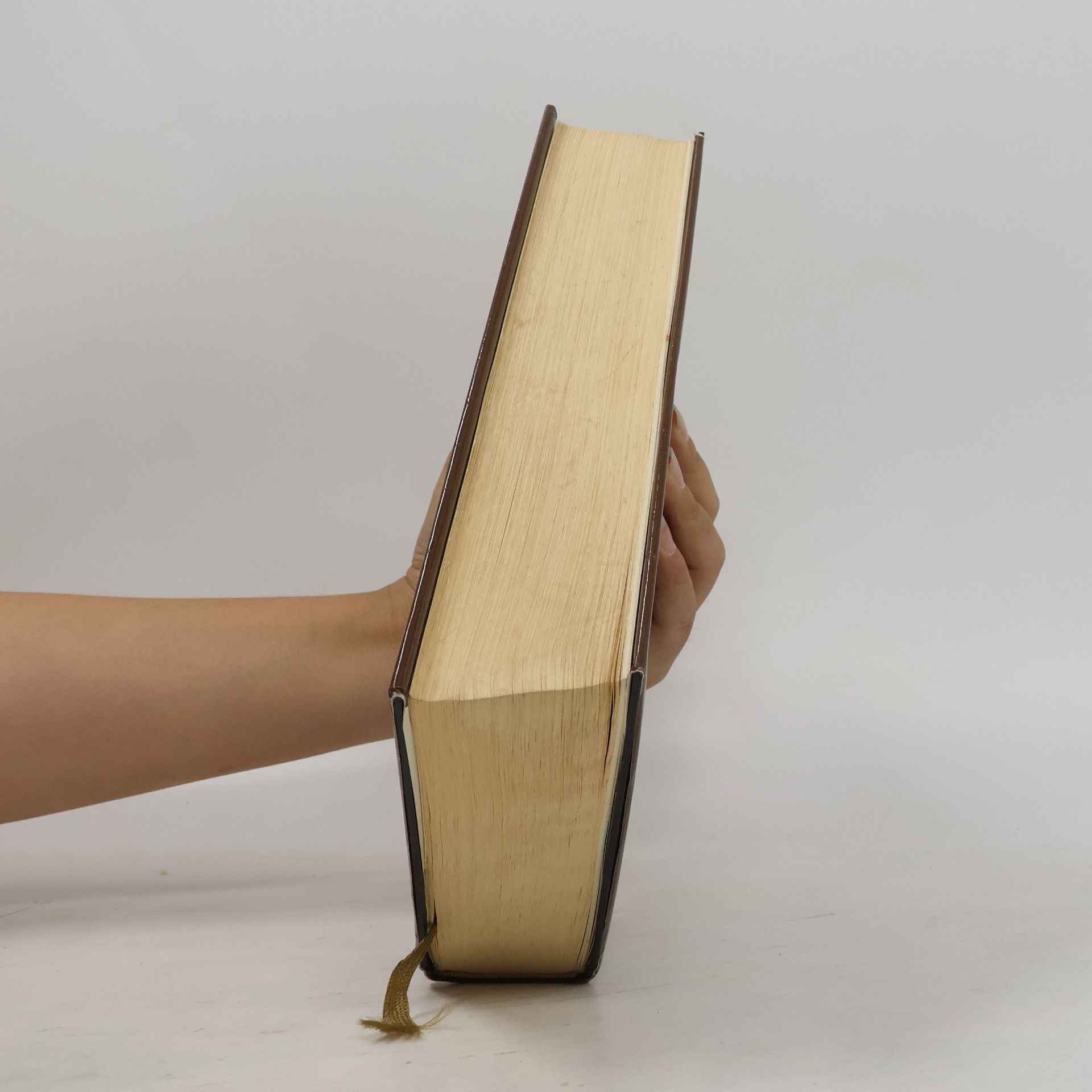 Autorenkollektiv Die Bibel oder die Ganze heilige Schrift des Alten und Neuen Testaments nach der Übersetzung