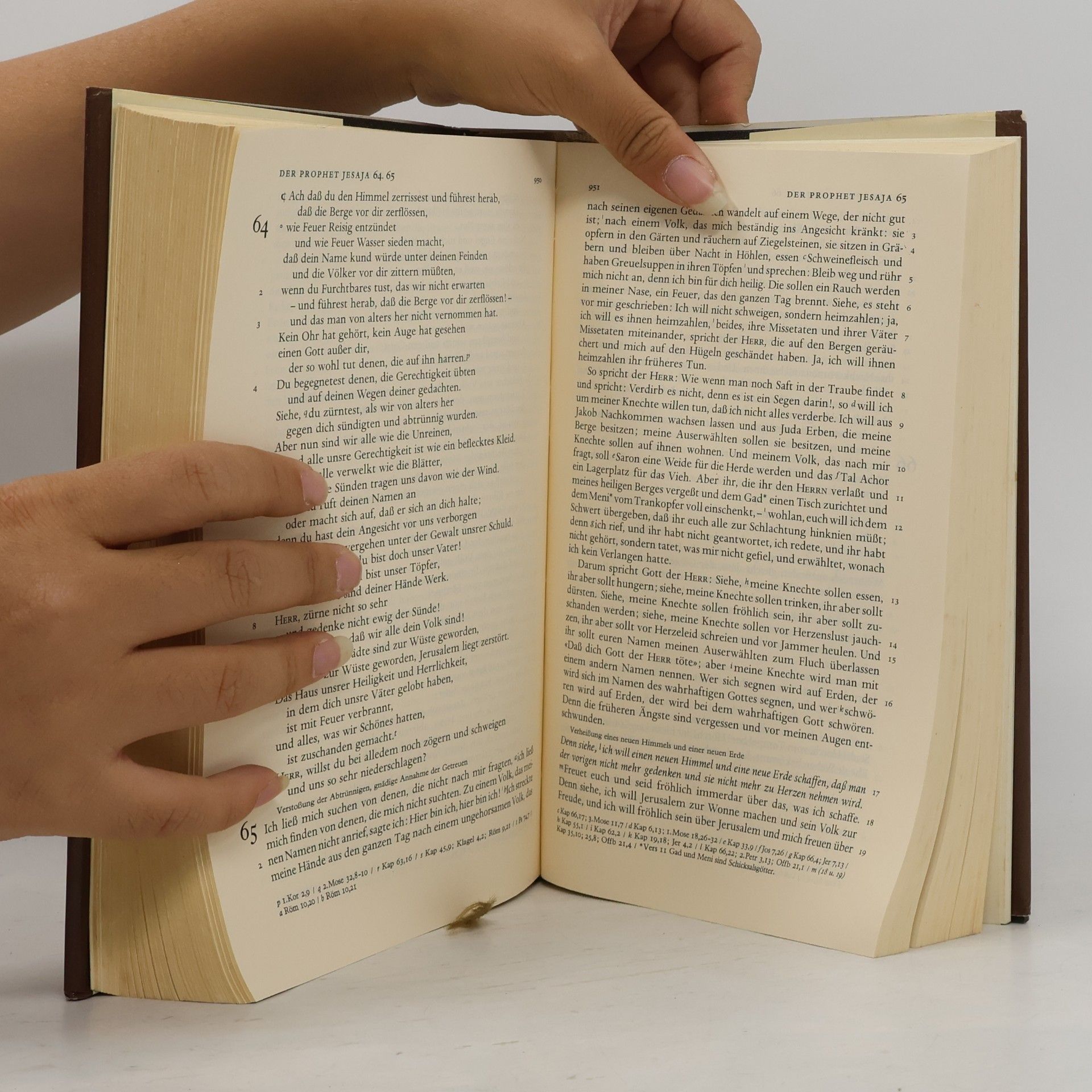 Autorenkollektiv Die Bibel oder die Ganze heilige Schrift des Alten und Neuen Testaments nach der Übersetzung
