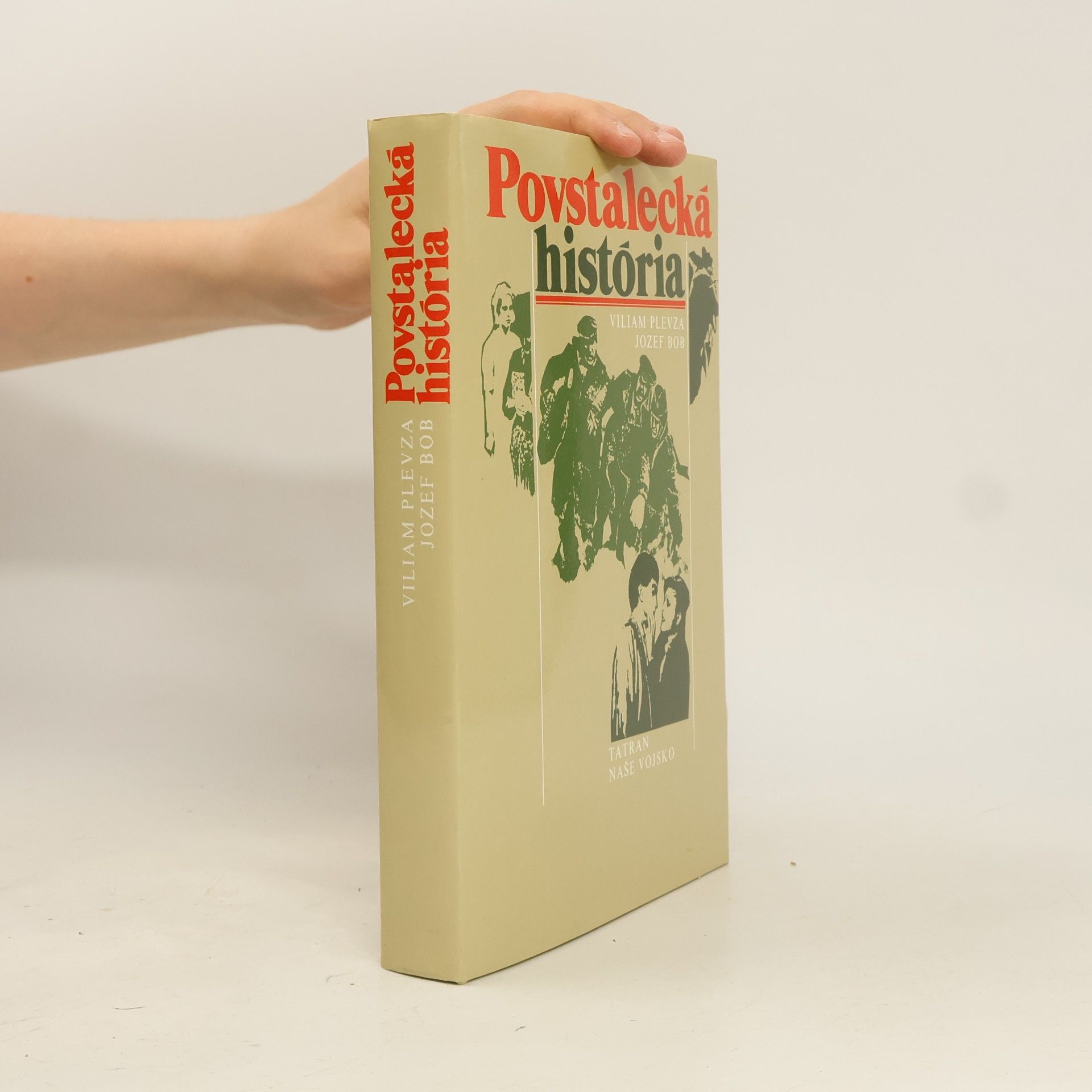 Viliam Plevza Povstalecká história