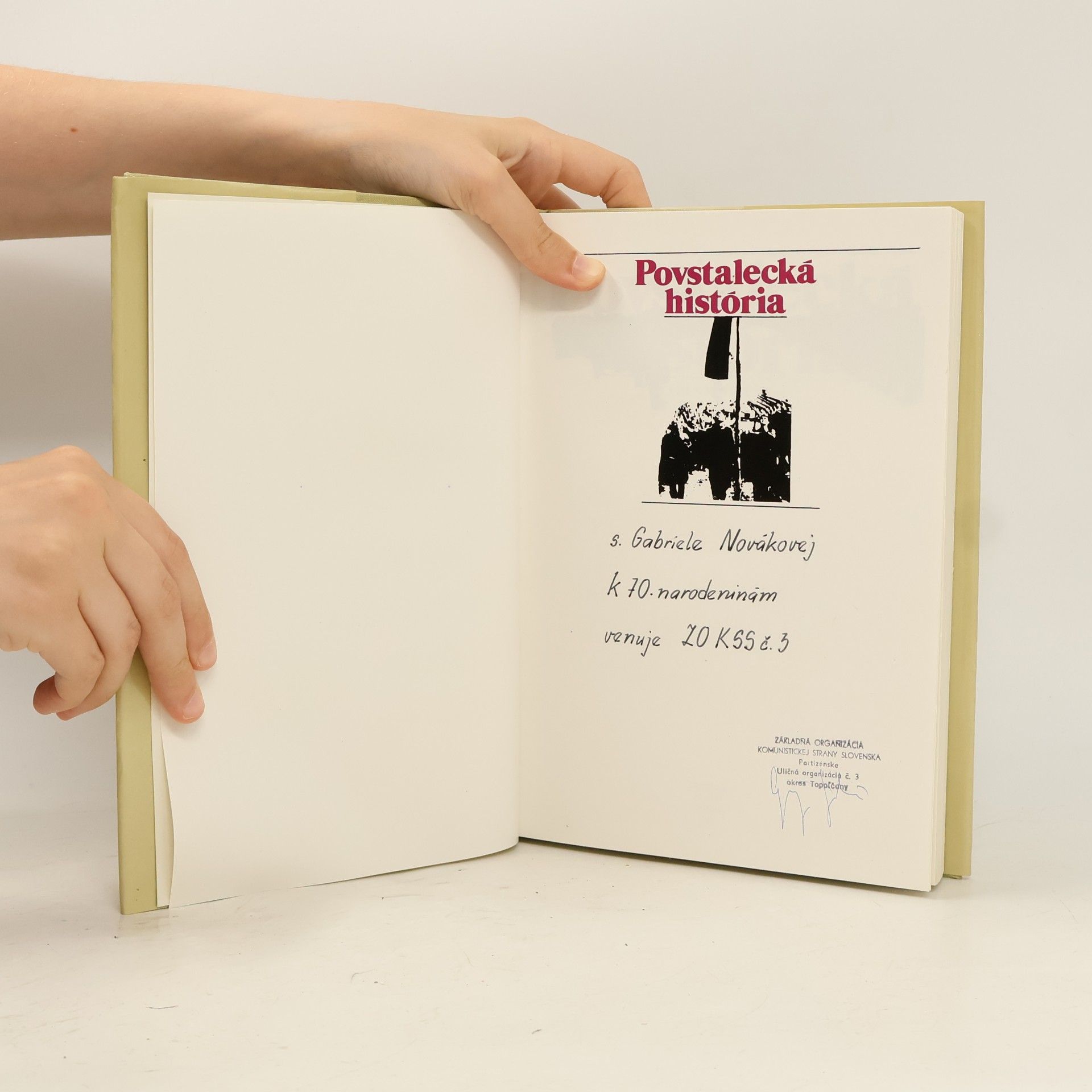 Viliam Plevza Povstalecká história