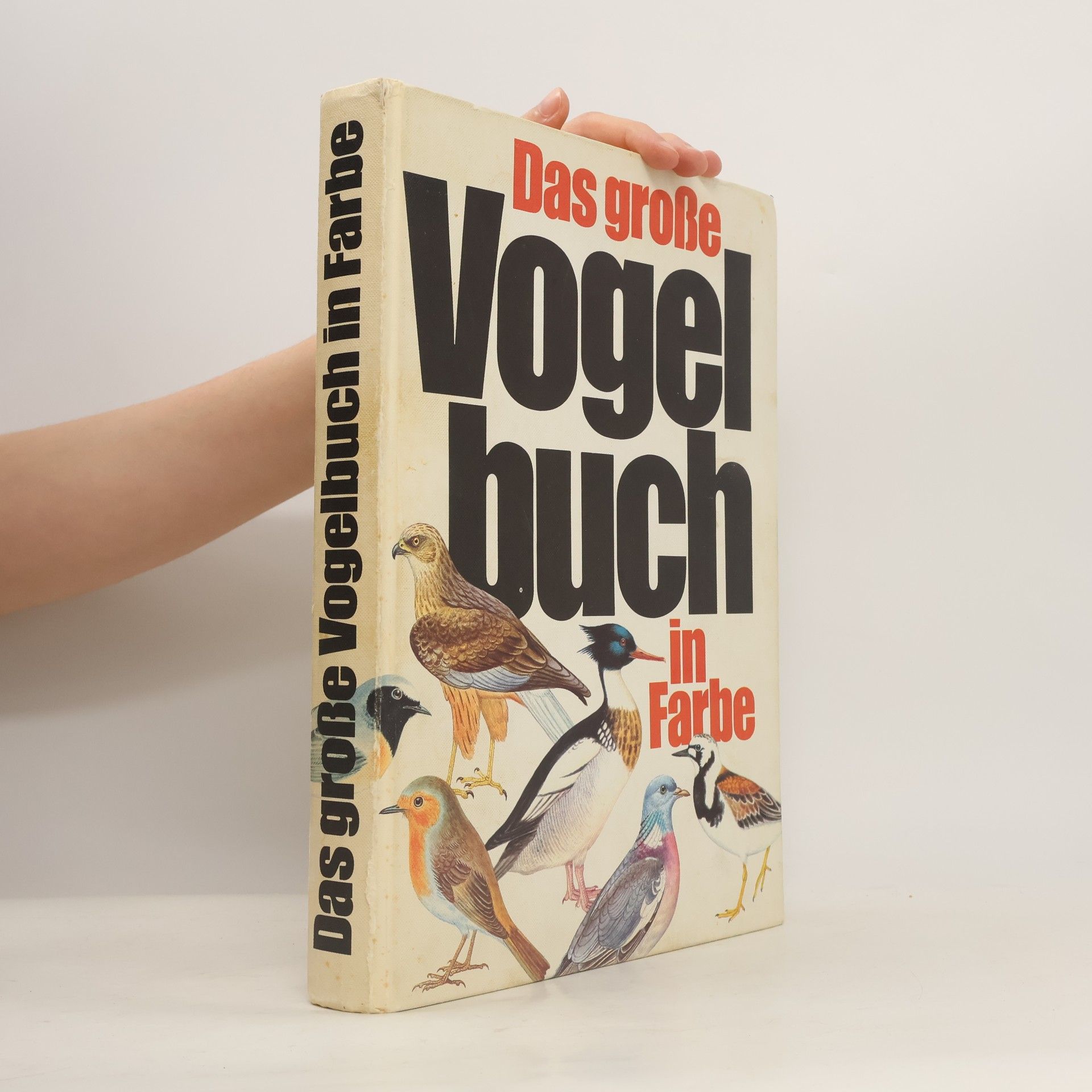 Das große Vogelbuch in Fabre