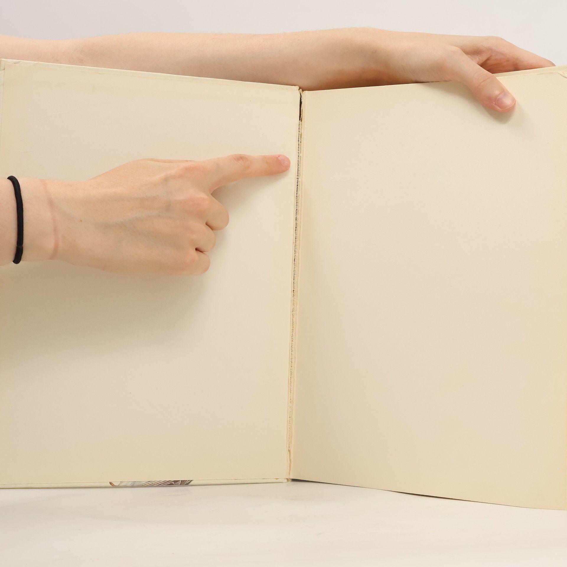 Jiří Felix Das große Vogelbuch in Fabre