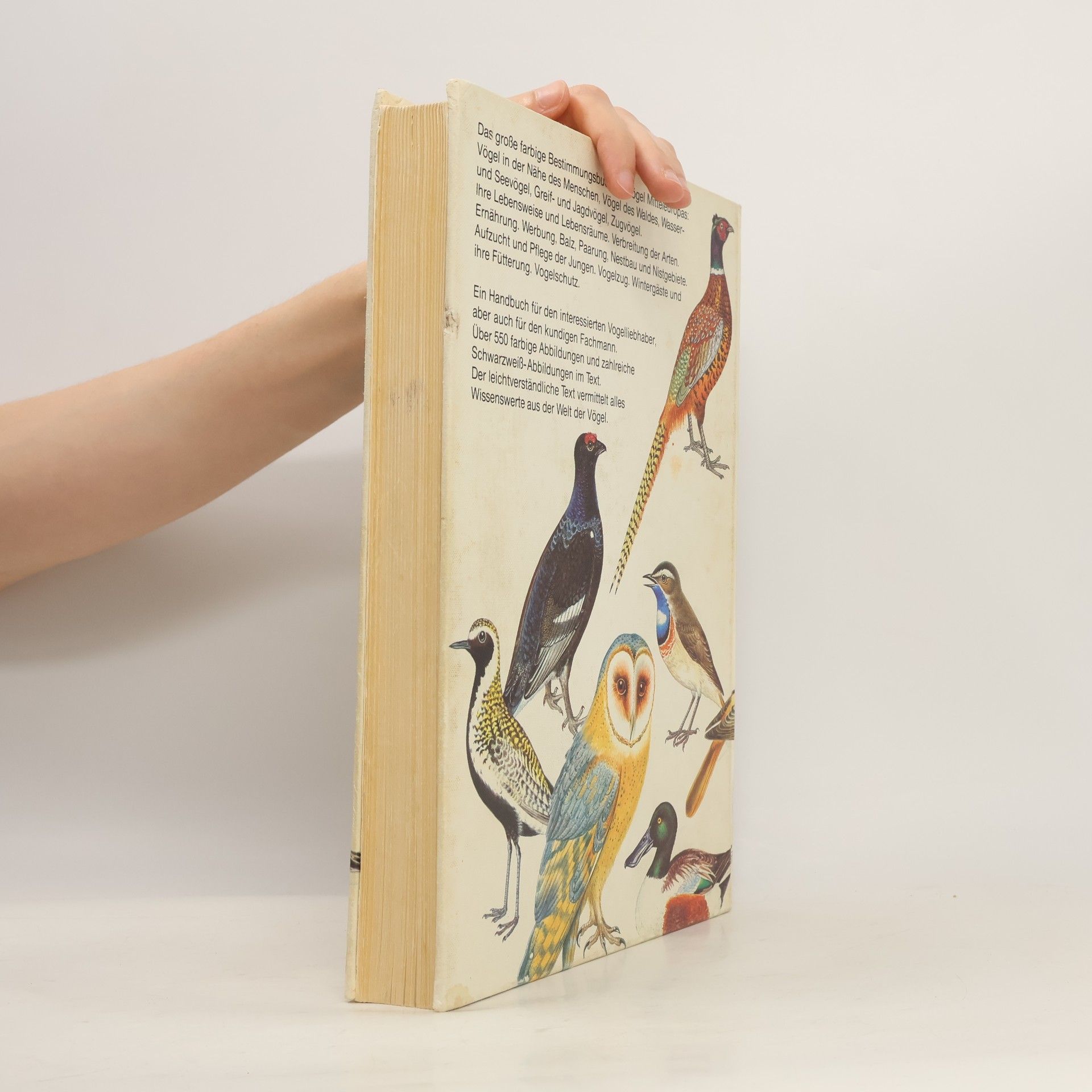 Jiří Felix Das große Vogelbuch in Fabre