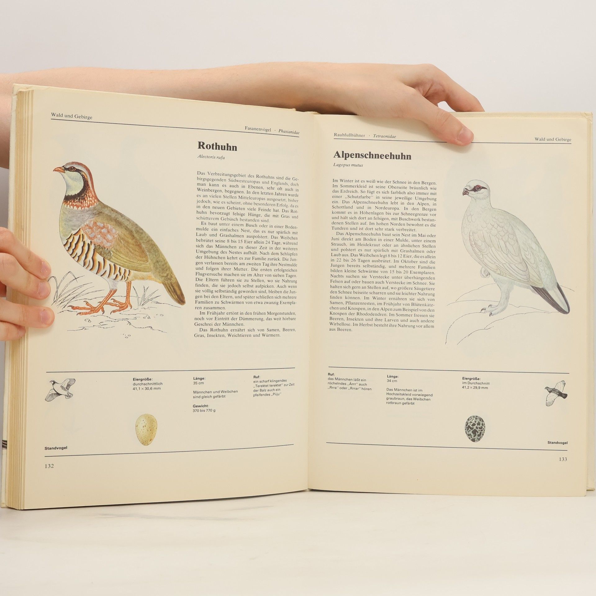 Jiří Felix Das große Vogelbuch in Fabre