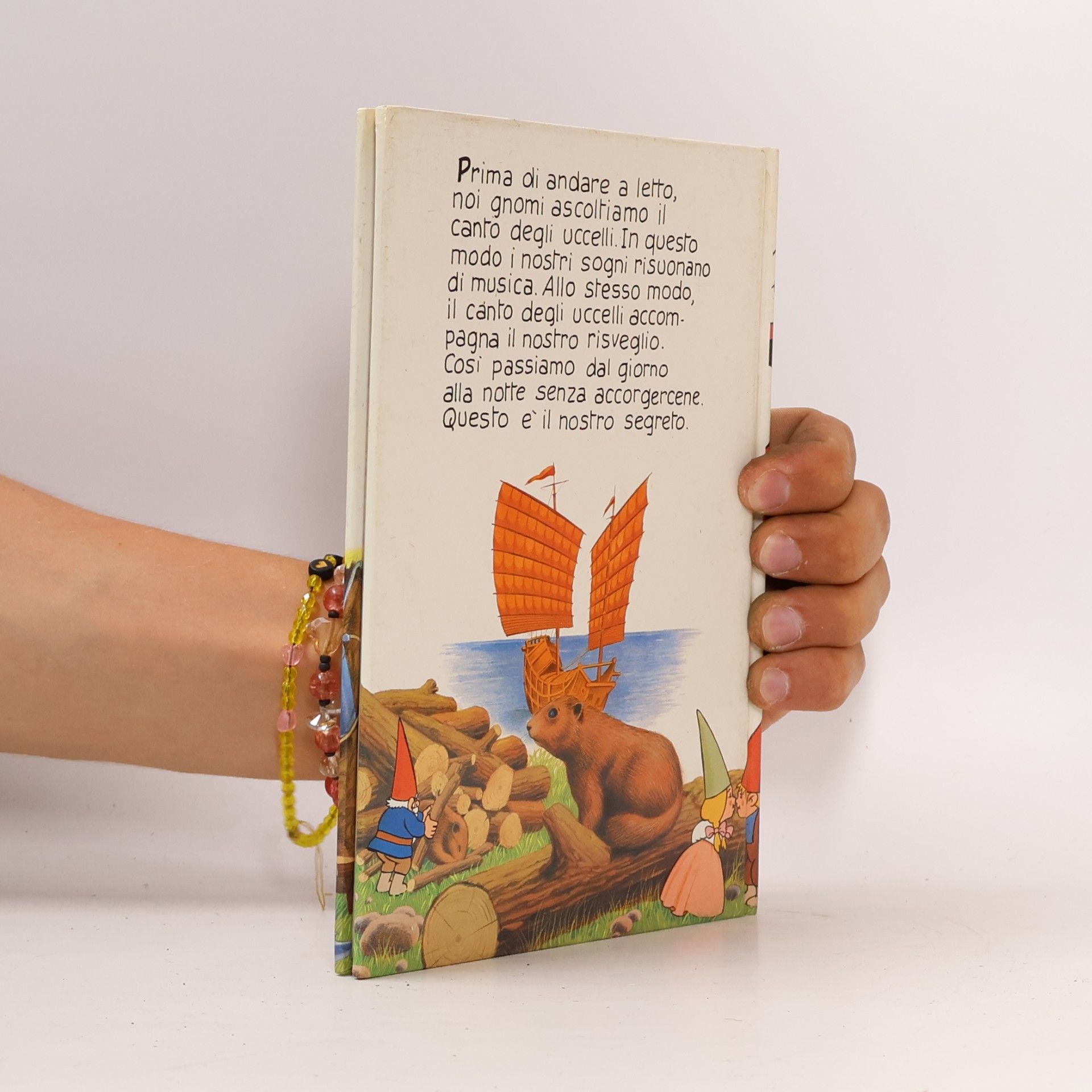 Saro de la Iglesia Il libro segrete degli gnomi 9