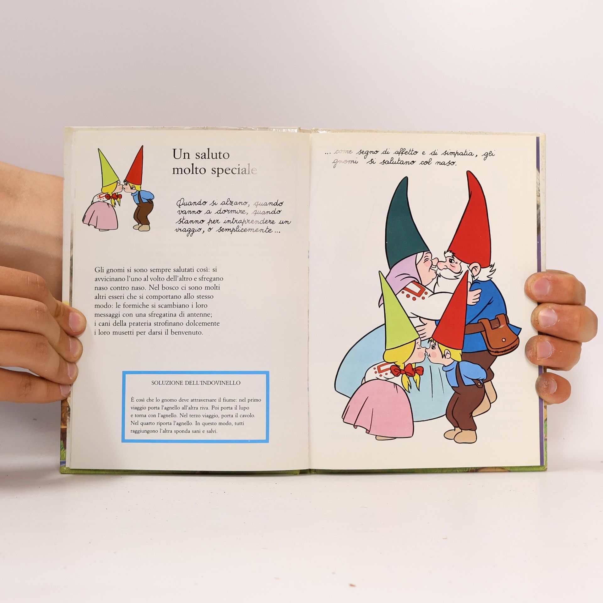 Saro de la Iglesia Il libro segrete degli gnomi 9