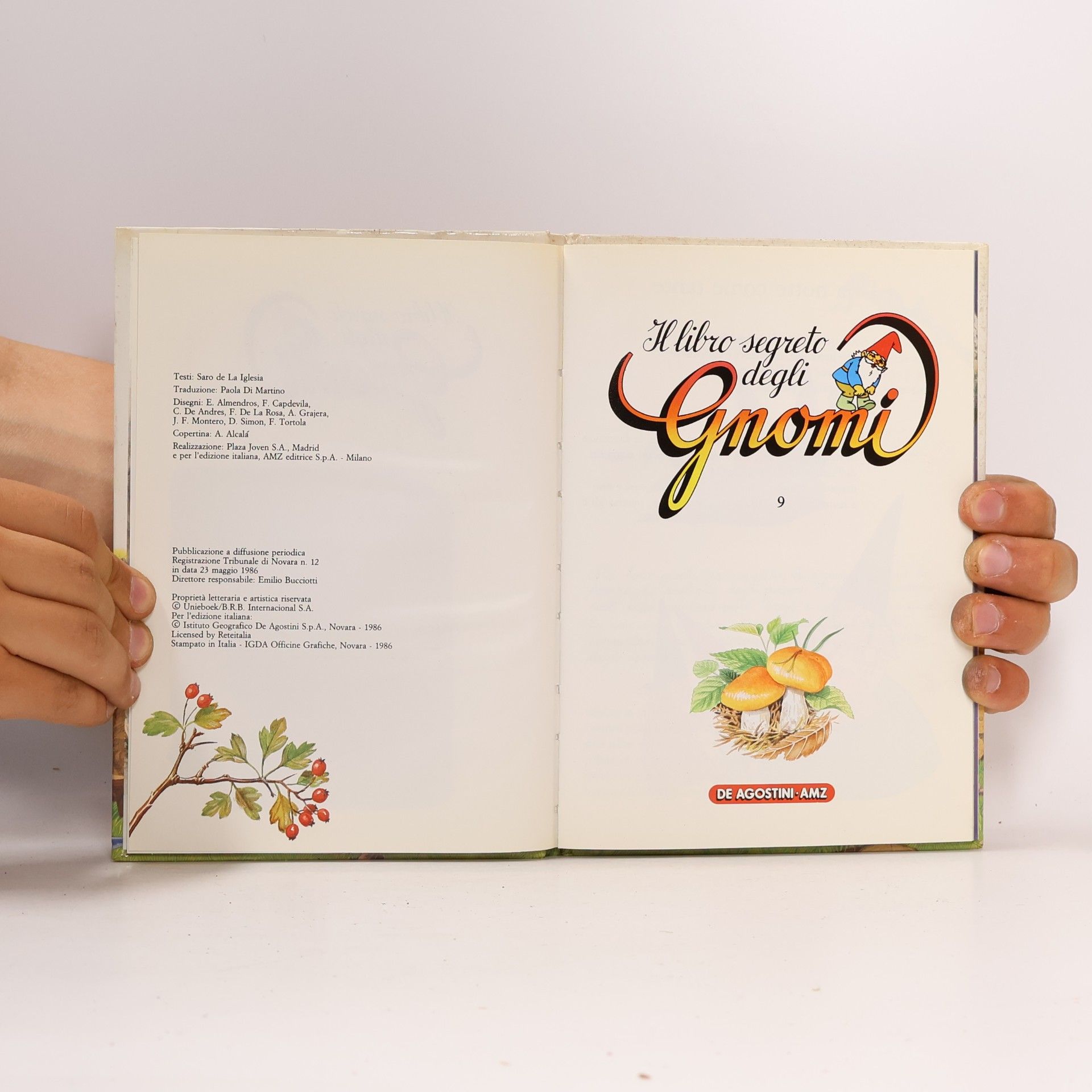 Saro de la Iglesia Il libro segrete degli gnomi 9