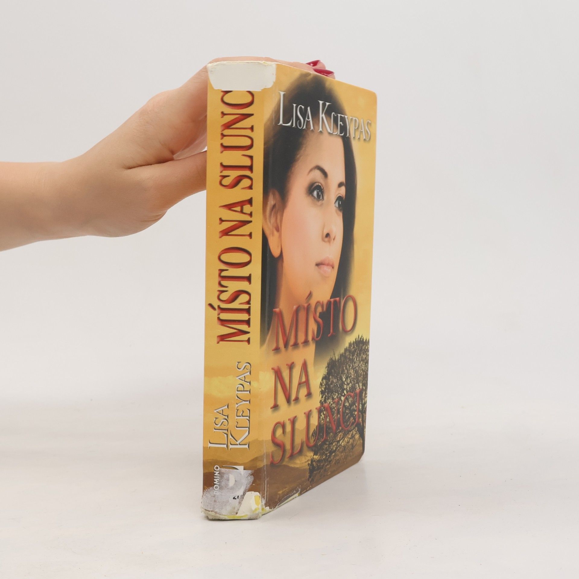 Lisa Kleypas Místo na slunci
