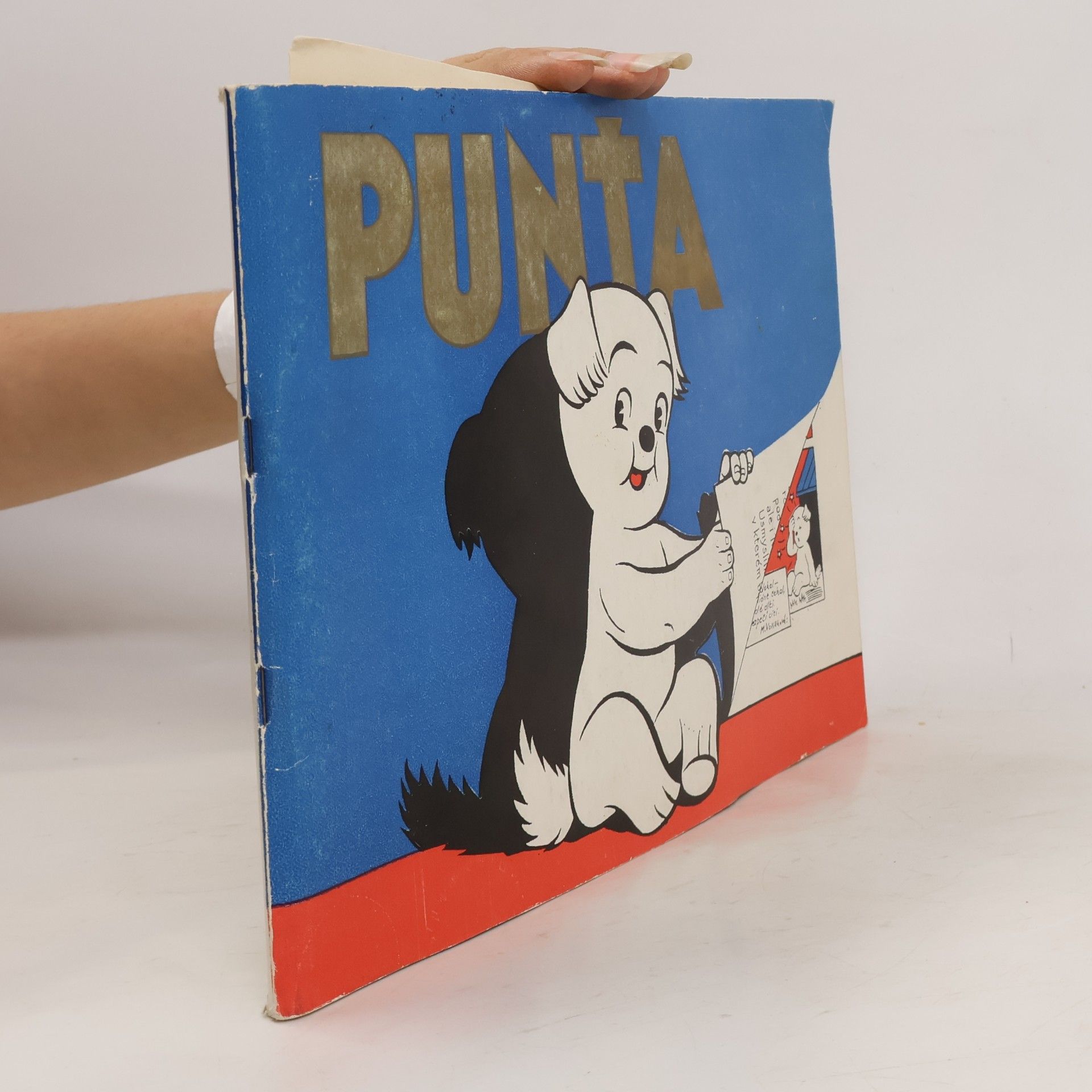 Punťa
