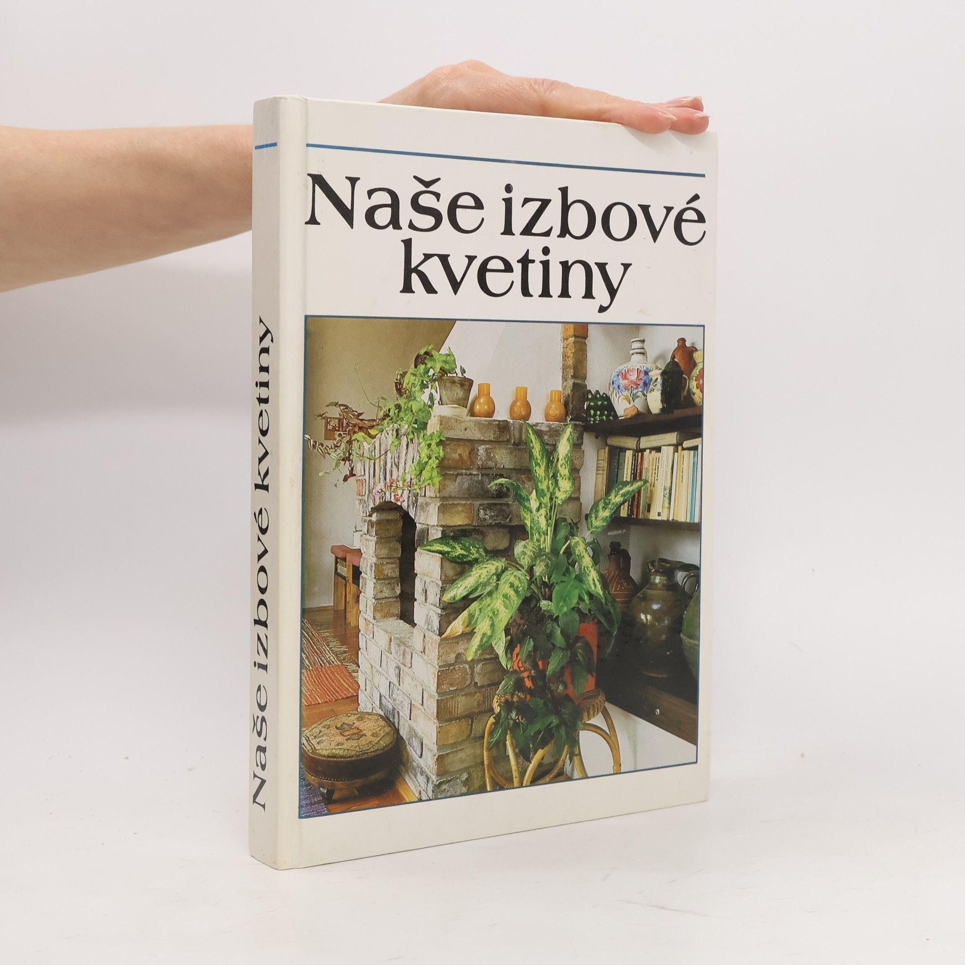 Lajos Lelkes Naše izbové kvetiny