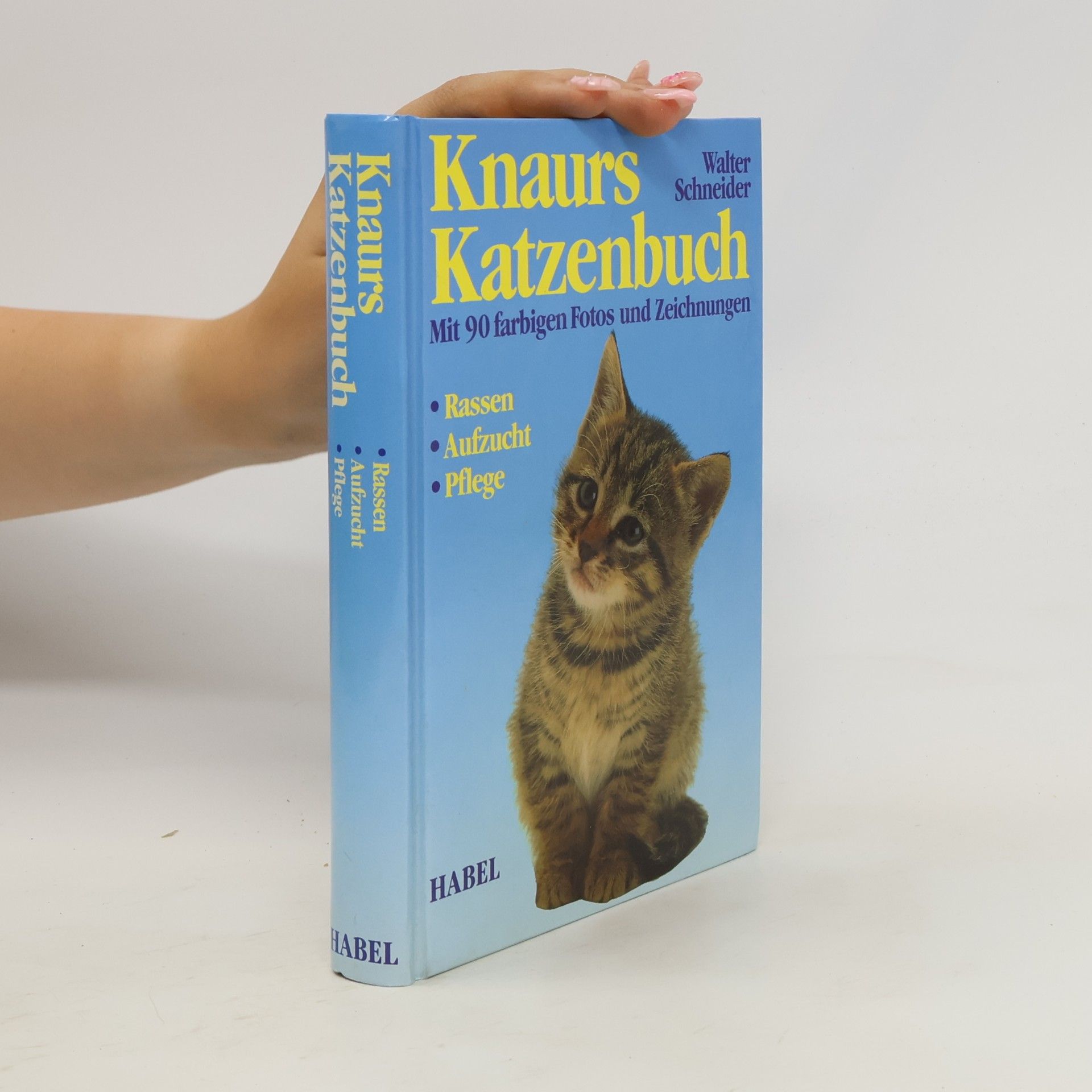 Margret Walter-Schneider Knaurs Katzenbuch