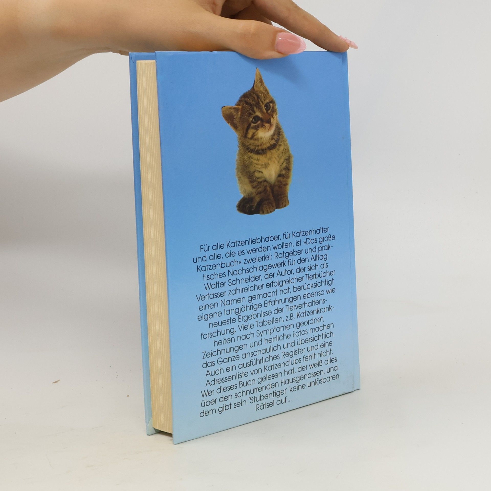 Margret Walter-Schneider Knaurs Katzenbuch