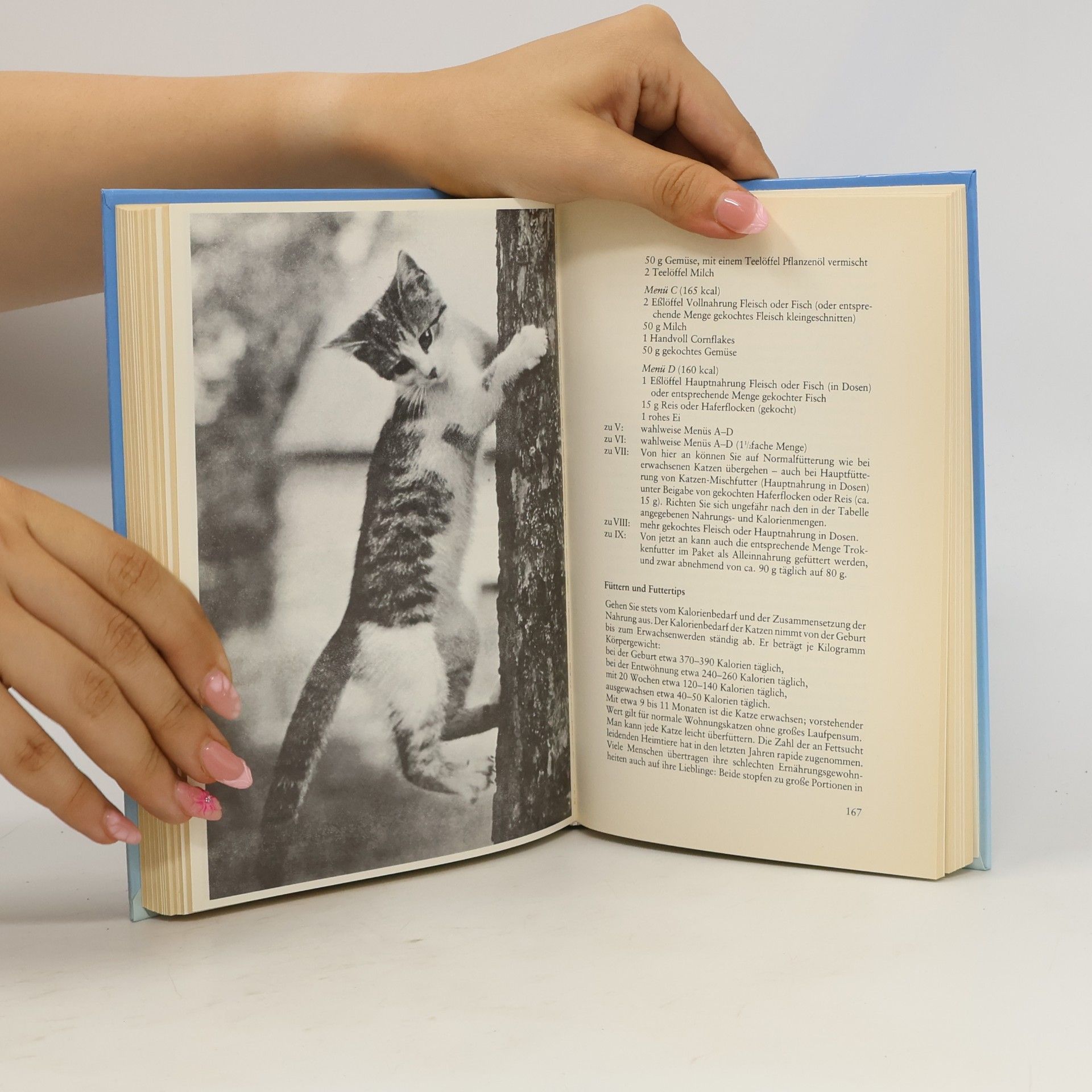 Margret Walter-Schneider Knaurs Katzenbuch