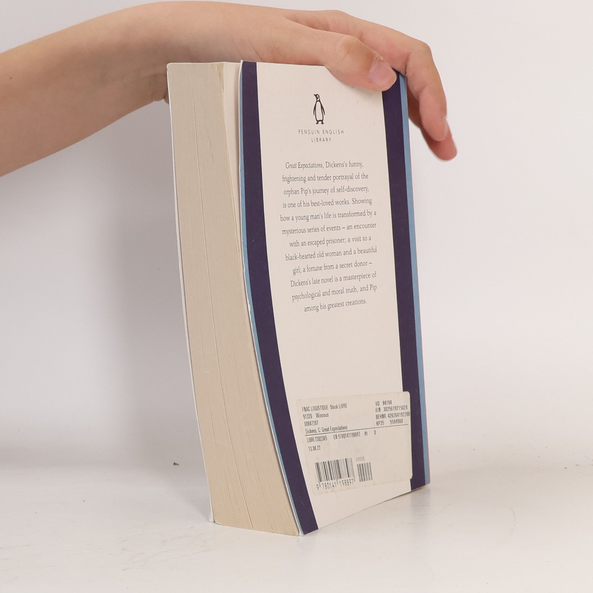 Charles Dickens Great Expectations
