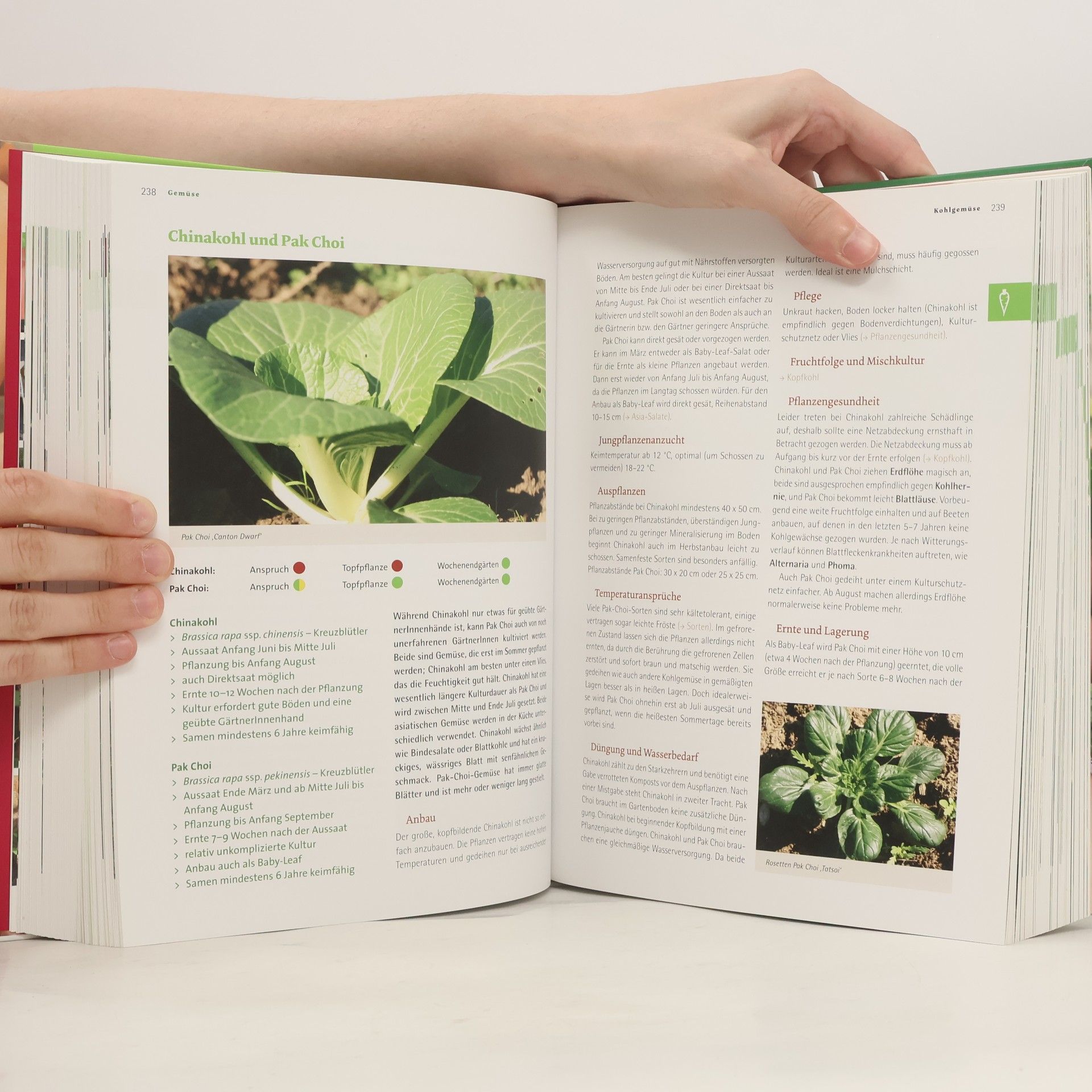 Andrea Heistinger Das große Biogarten-Buch
