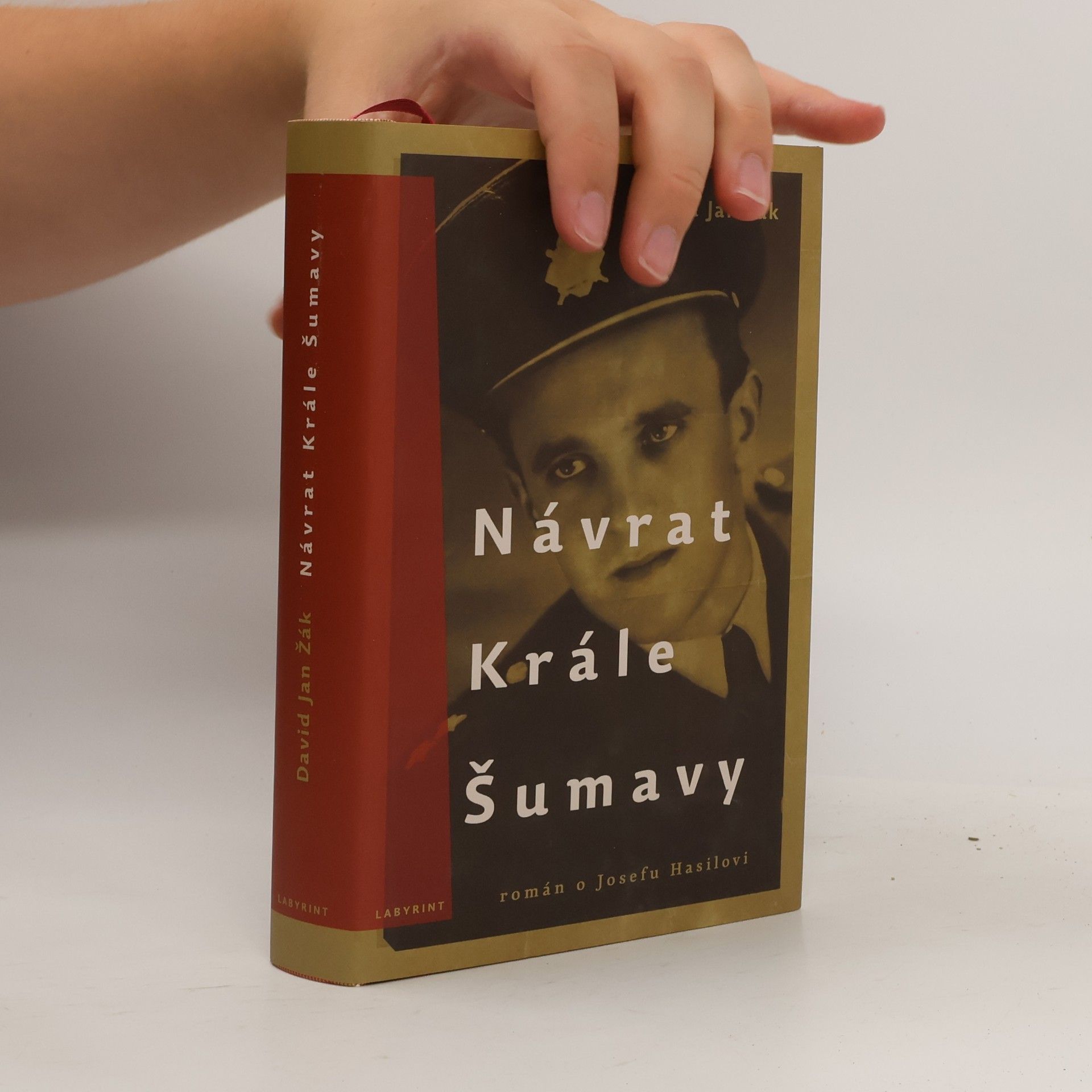 David Jan Žák Návrat Krále Šumavy