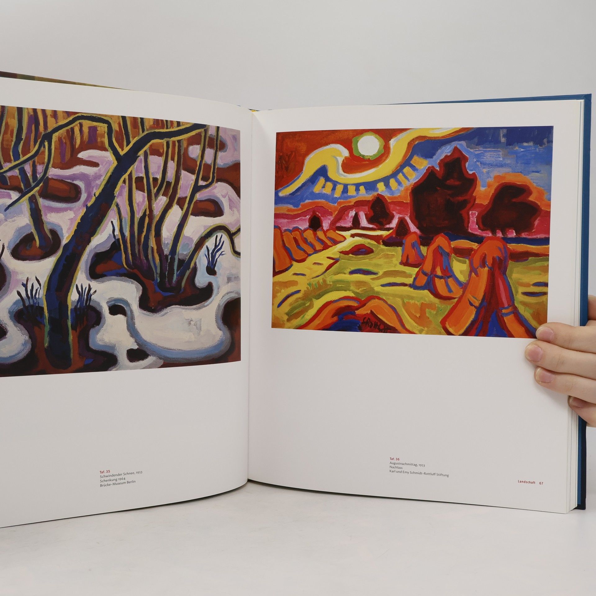 AA.VV. Karl Schmidt-Rottluff: Landschaft. Figur. Stilleben