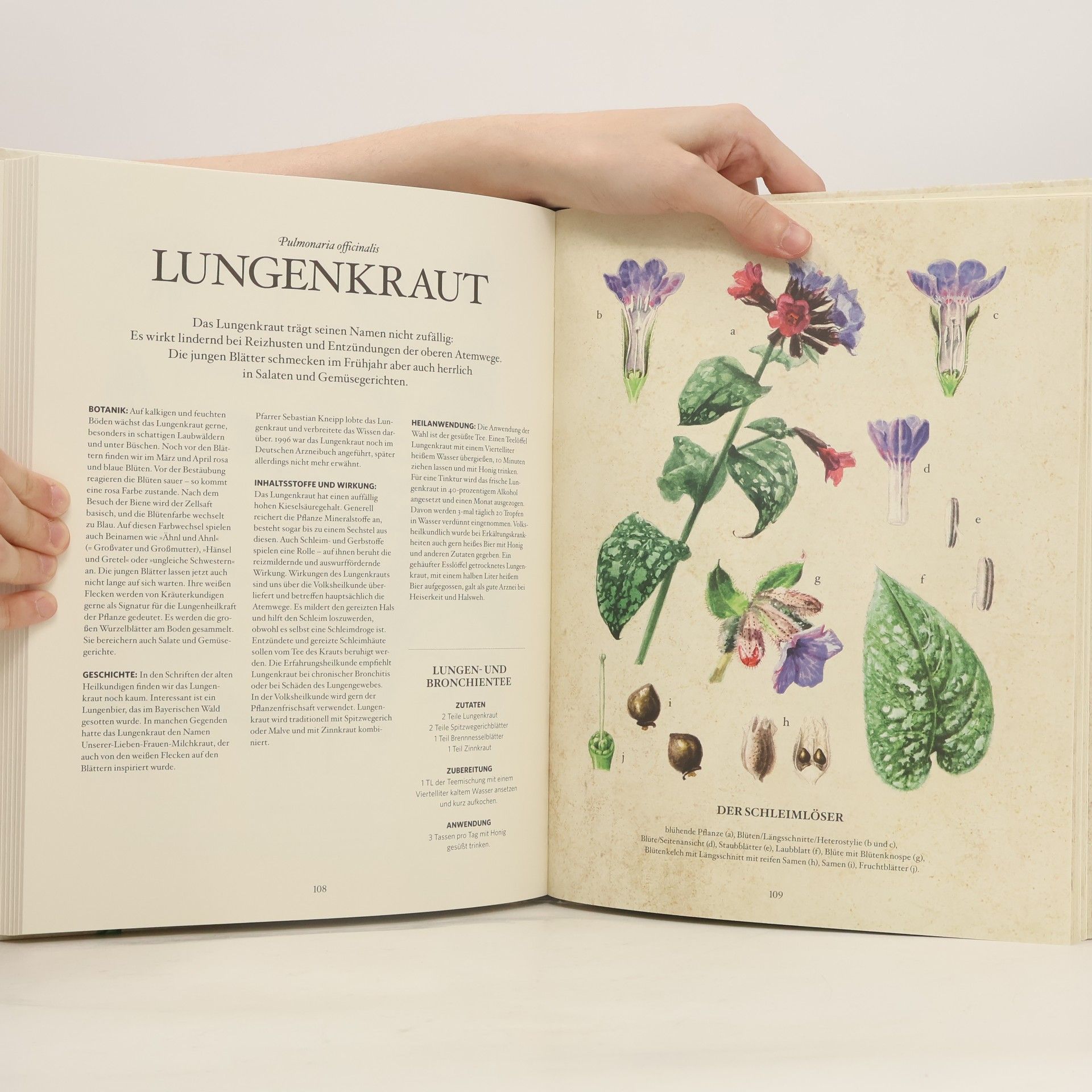 Karin Buchart Die Natur-Apotheke