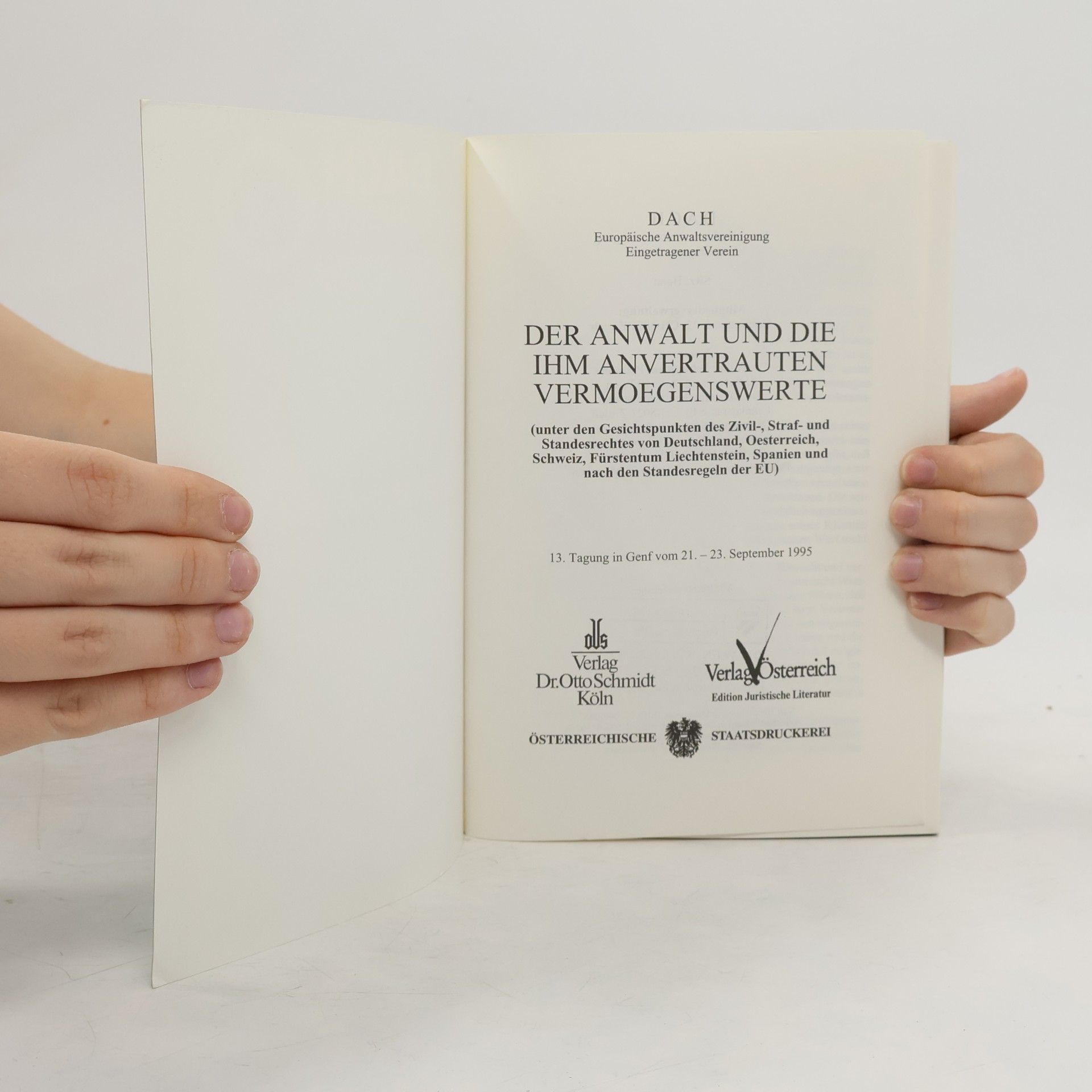 Autorenkollektiv Der Anwalt und die ihm anvertrauten Vermögenswerte 6