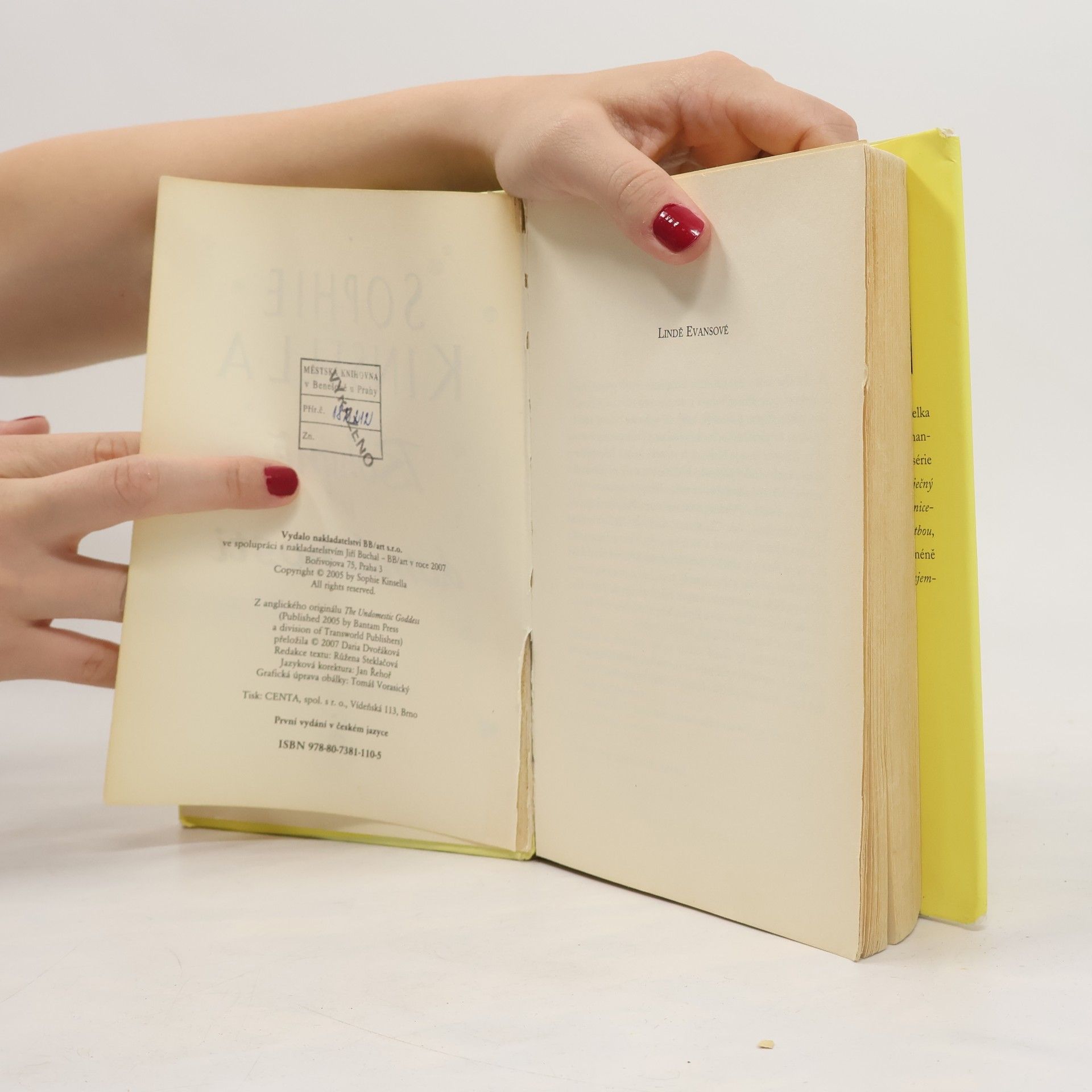 Sophie Kinsella Bohyně v domácnosti