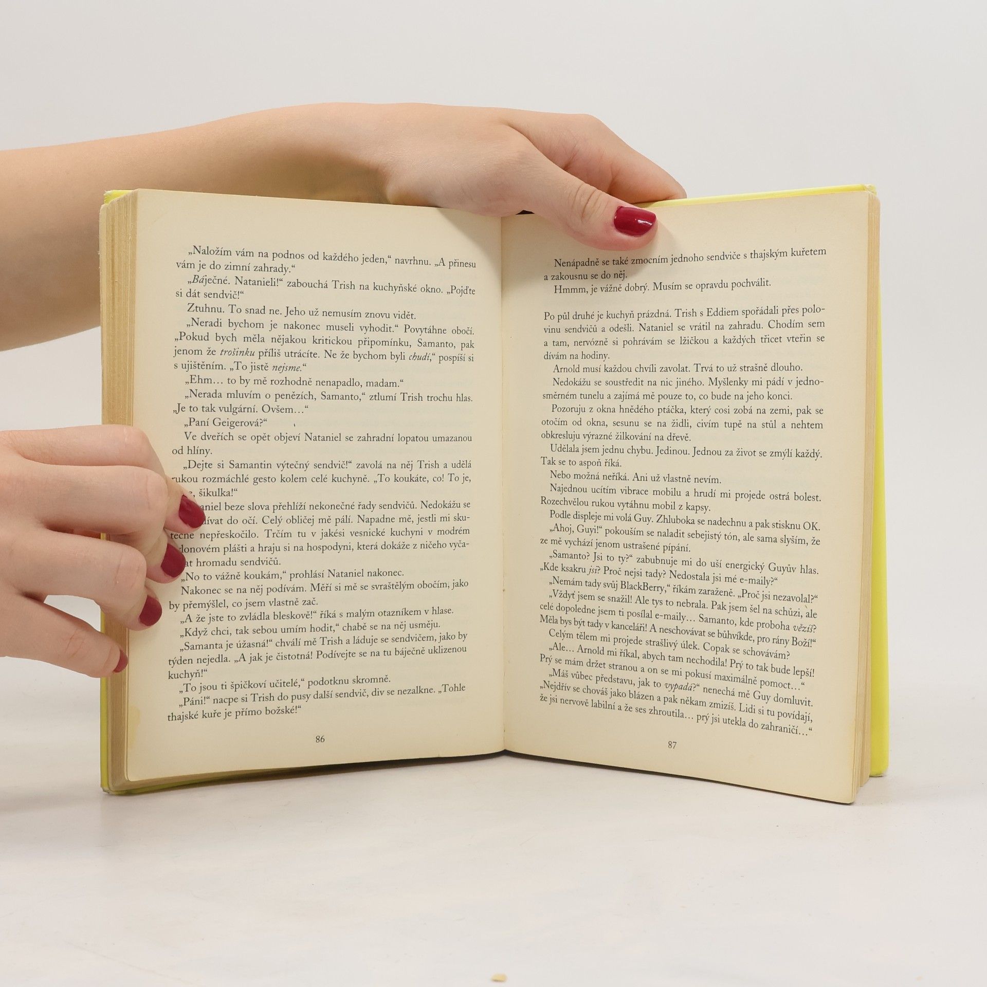 Sophie Kinsella Bohyně v domácnosti