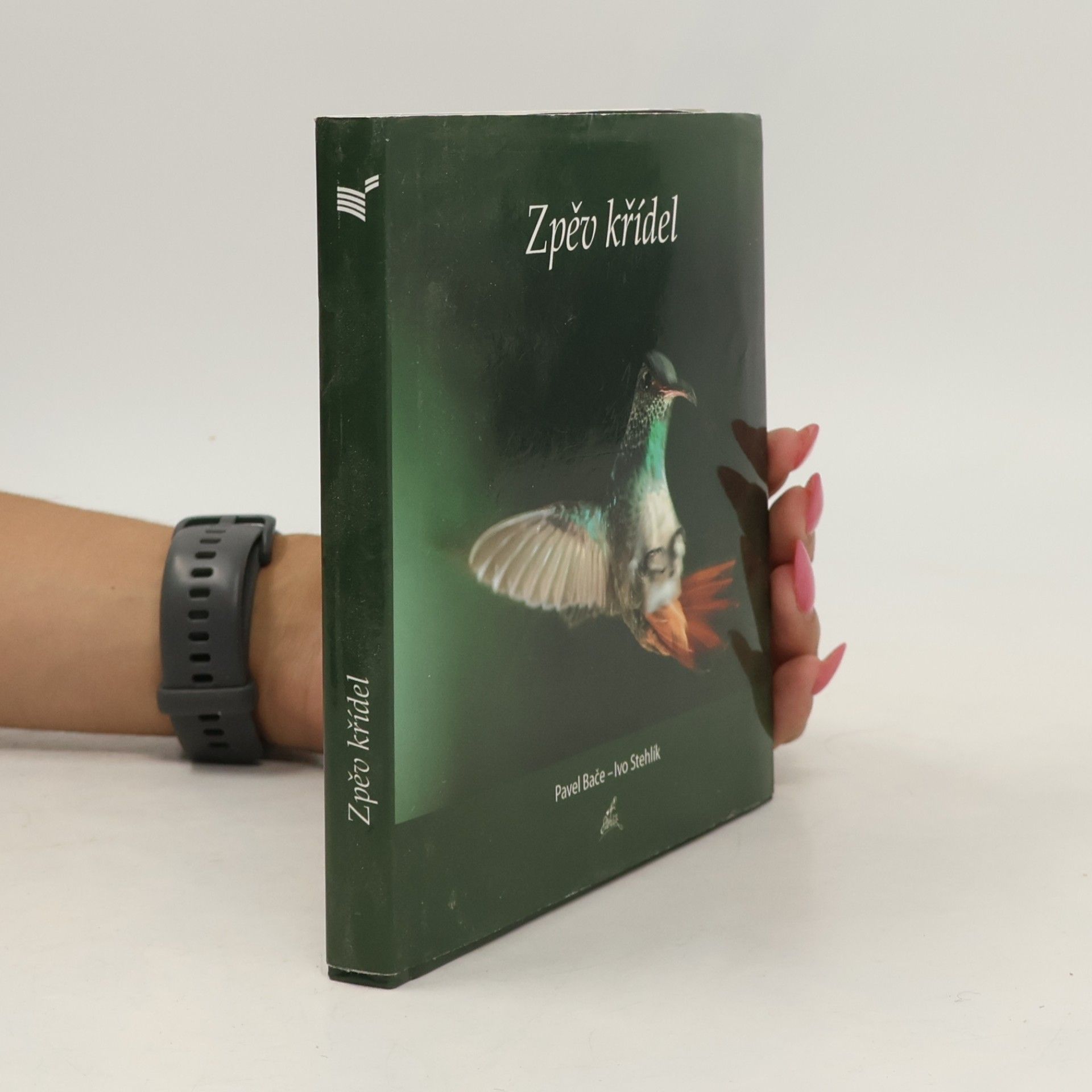 Pavel Bače Zpěv křídel
