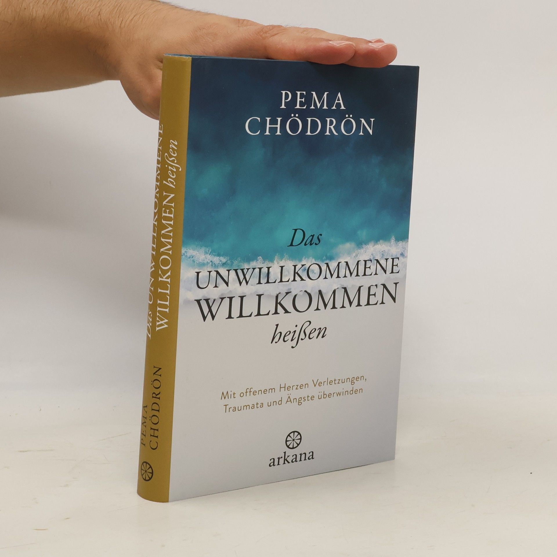 Pema Chödrön Das Unwillkommene willkommen heißen