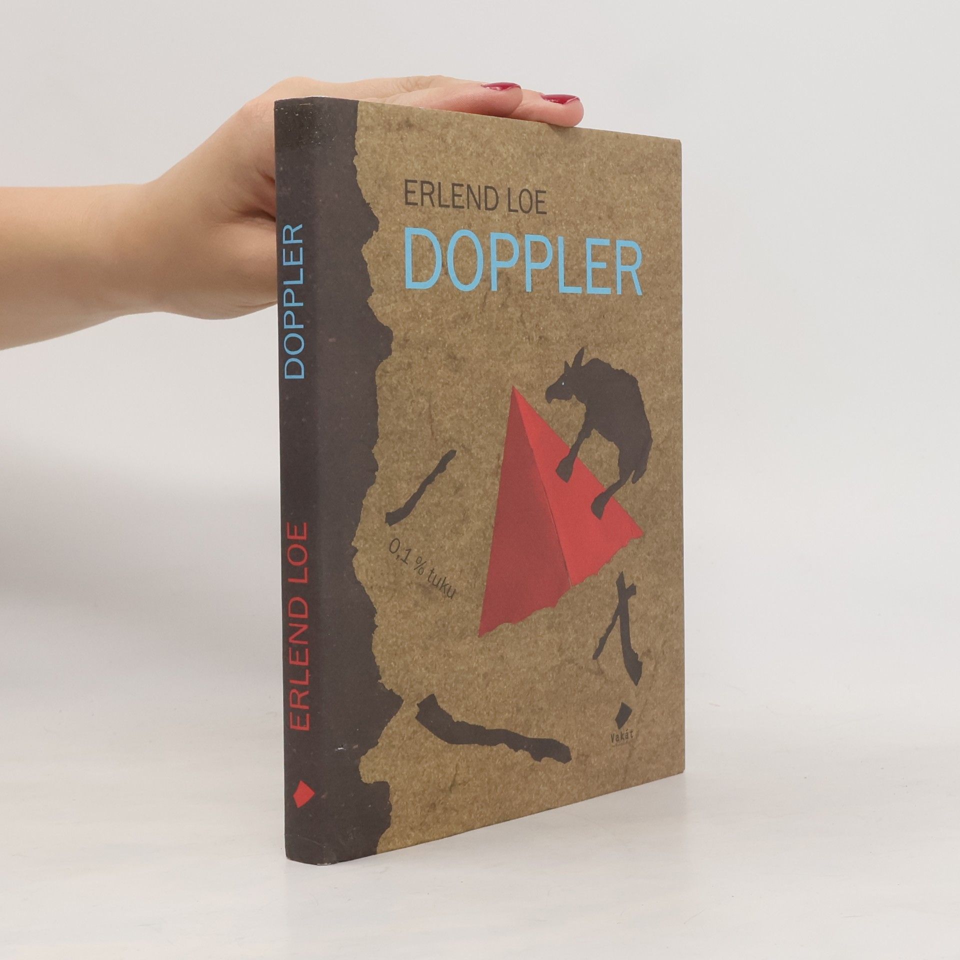 Erlend Loe Doppler