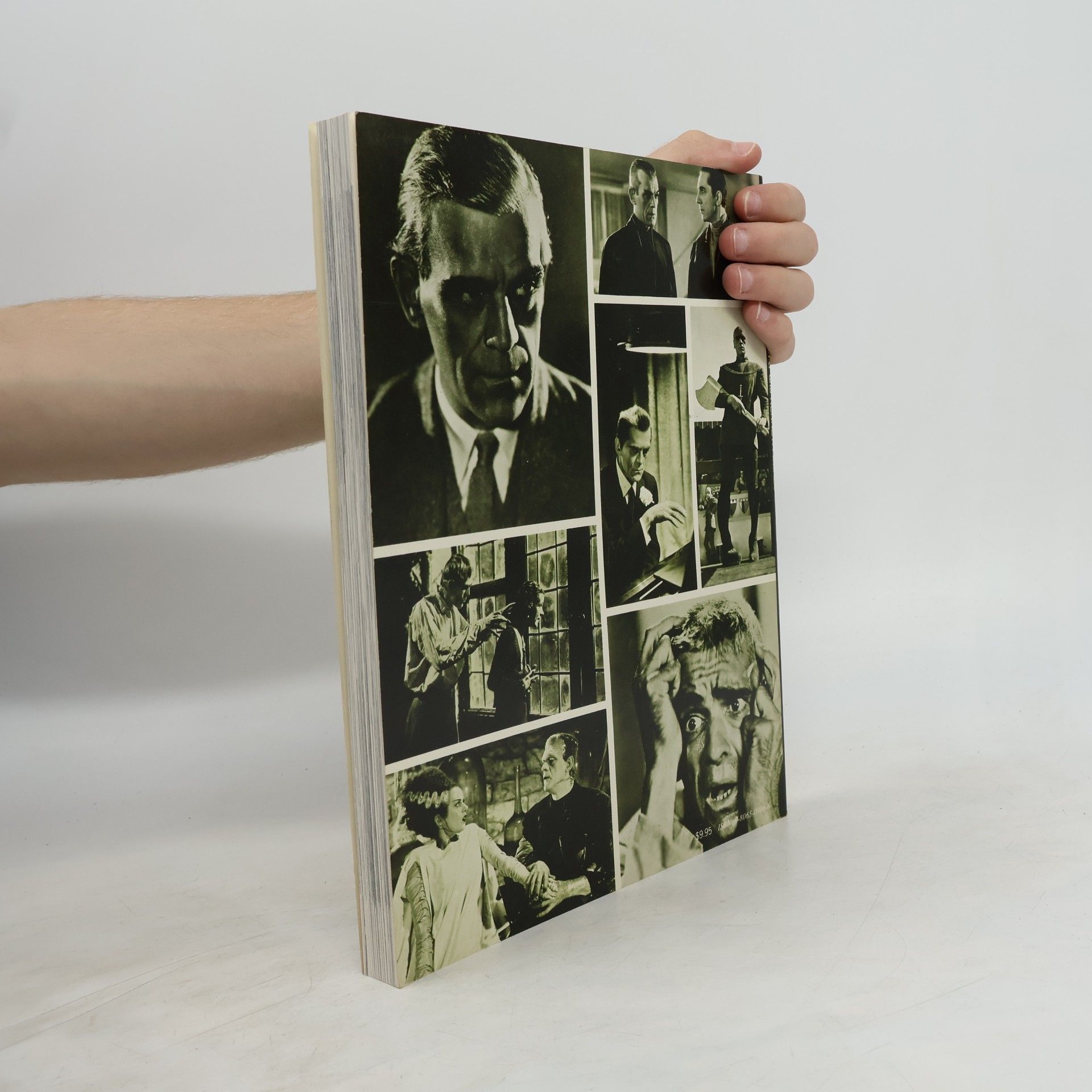 Richard Bojarski The Films of Boris Karloff