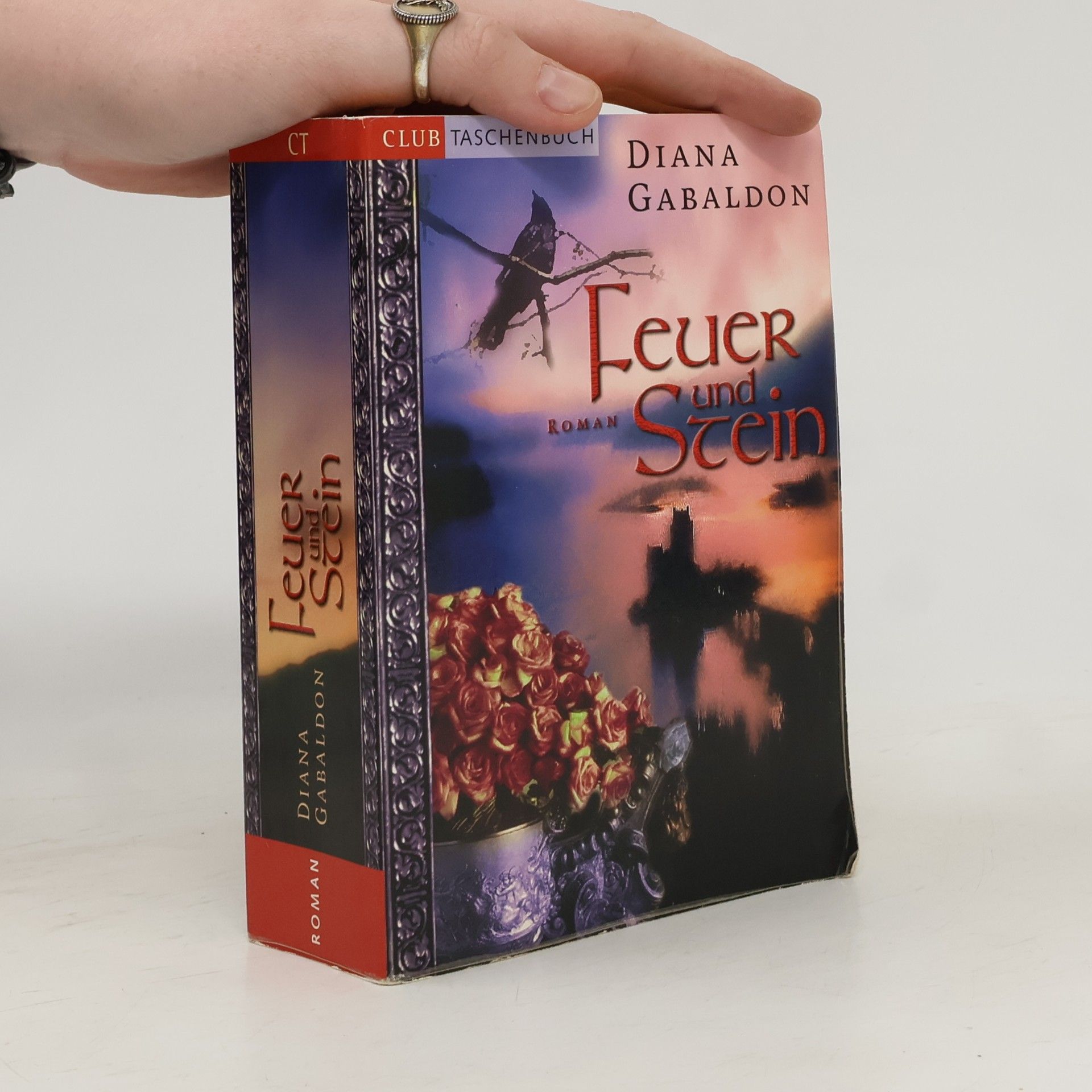 Diana Gabaldon Feuer und Stein