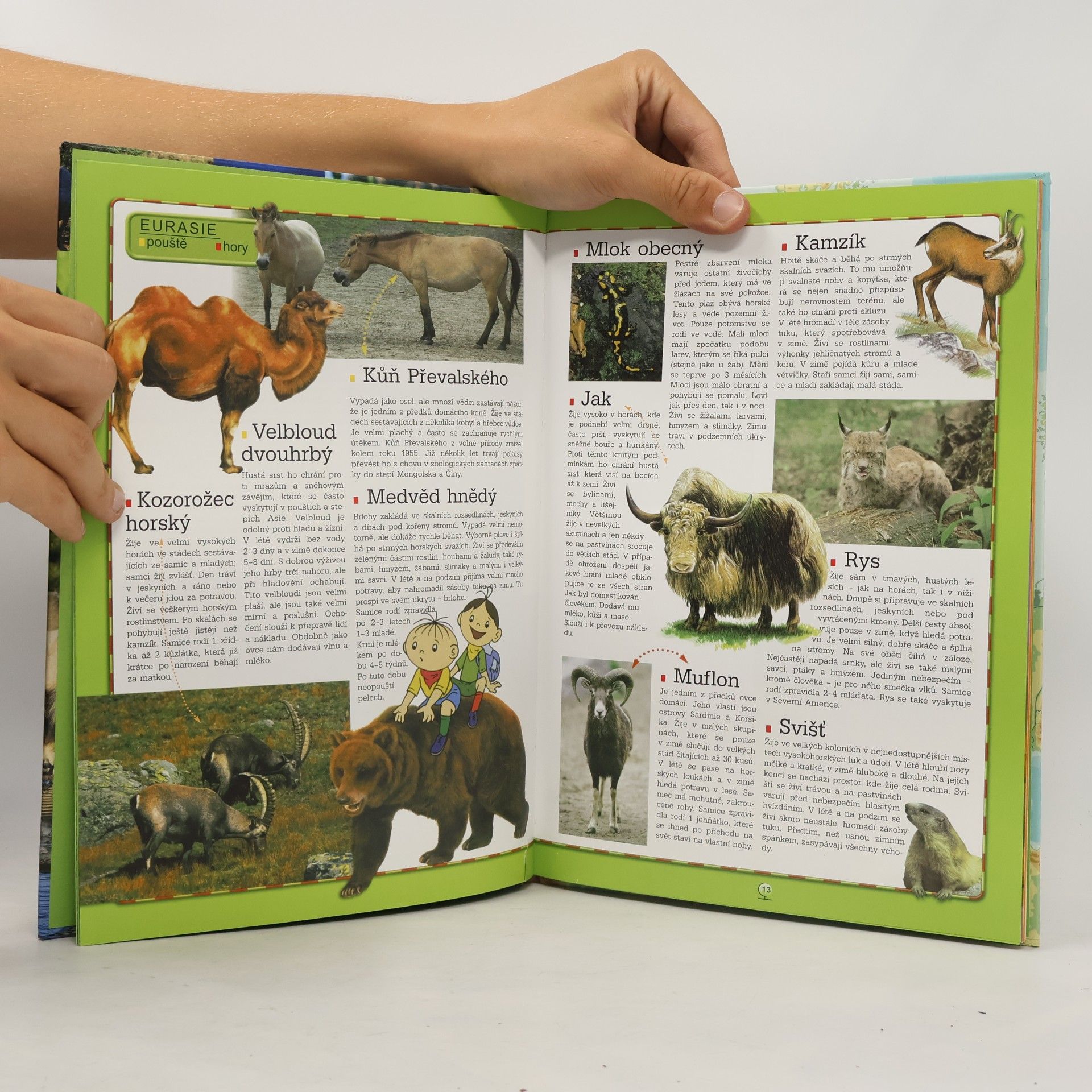 Various authors Bolek a Lolek. Atlas zvířat