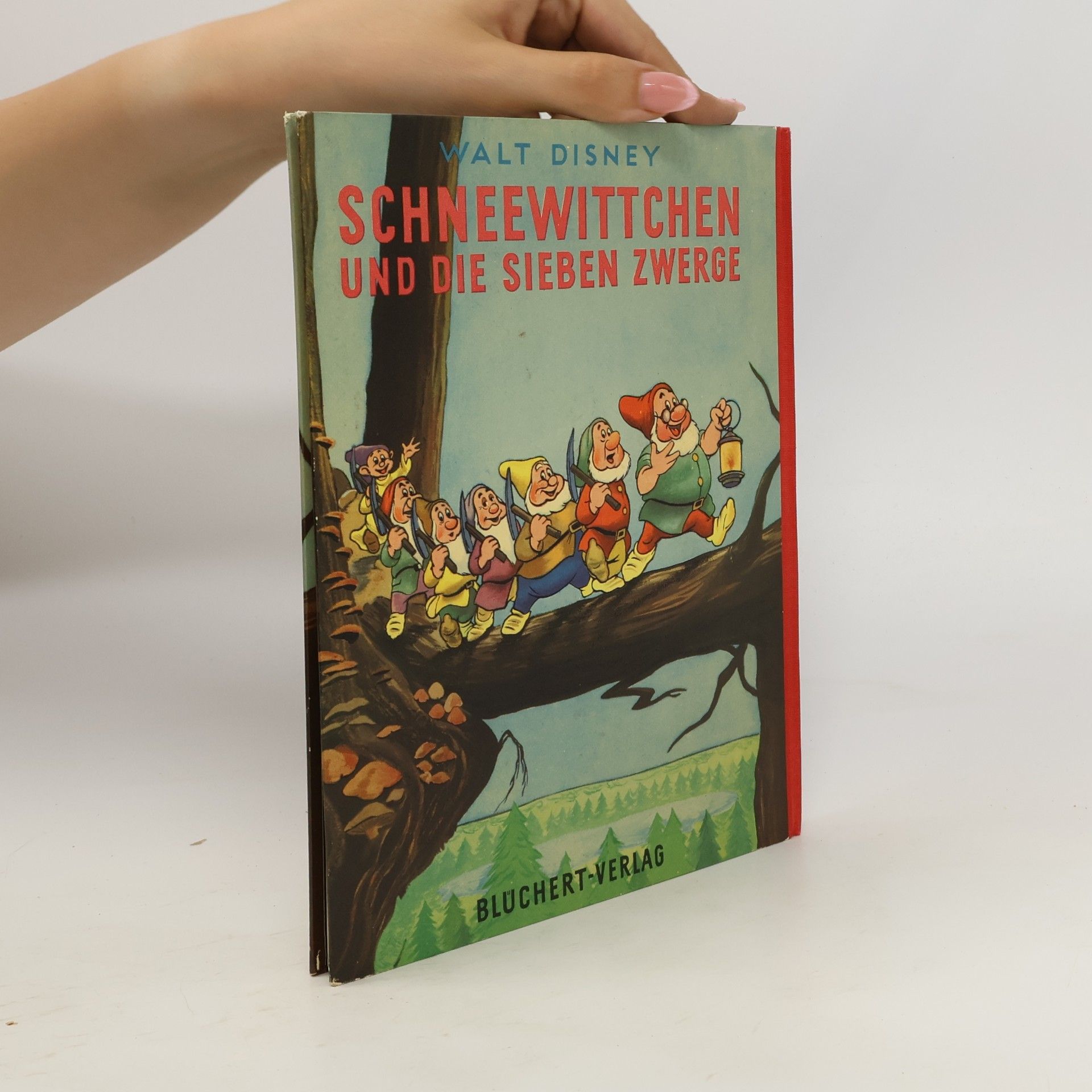 Autorenkollektiv Schneewittchen und die Sieben Zwerge