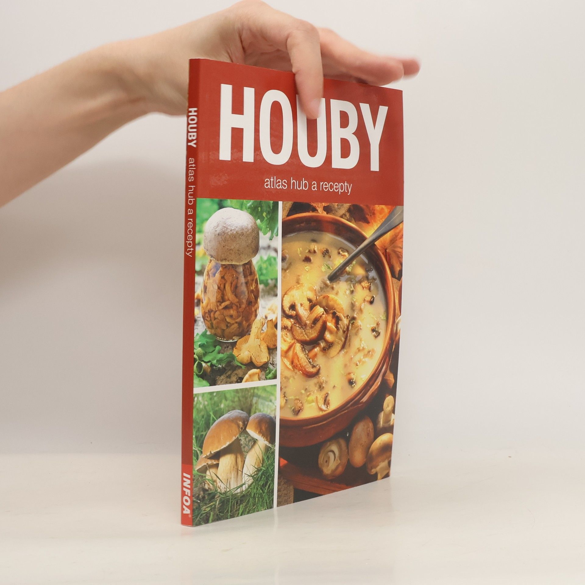 Autorenkollektiv Houby - atlas hub a recepty