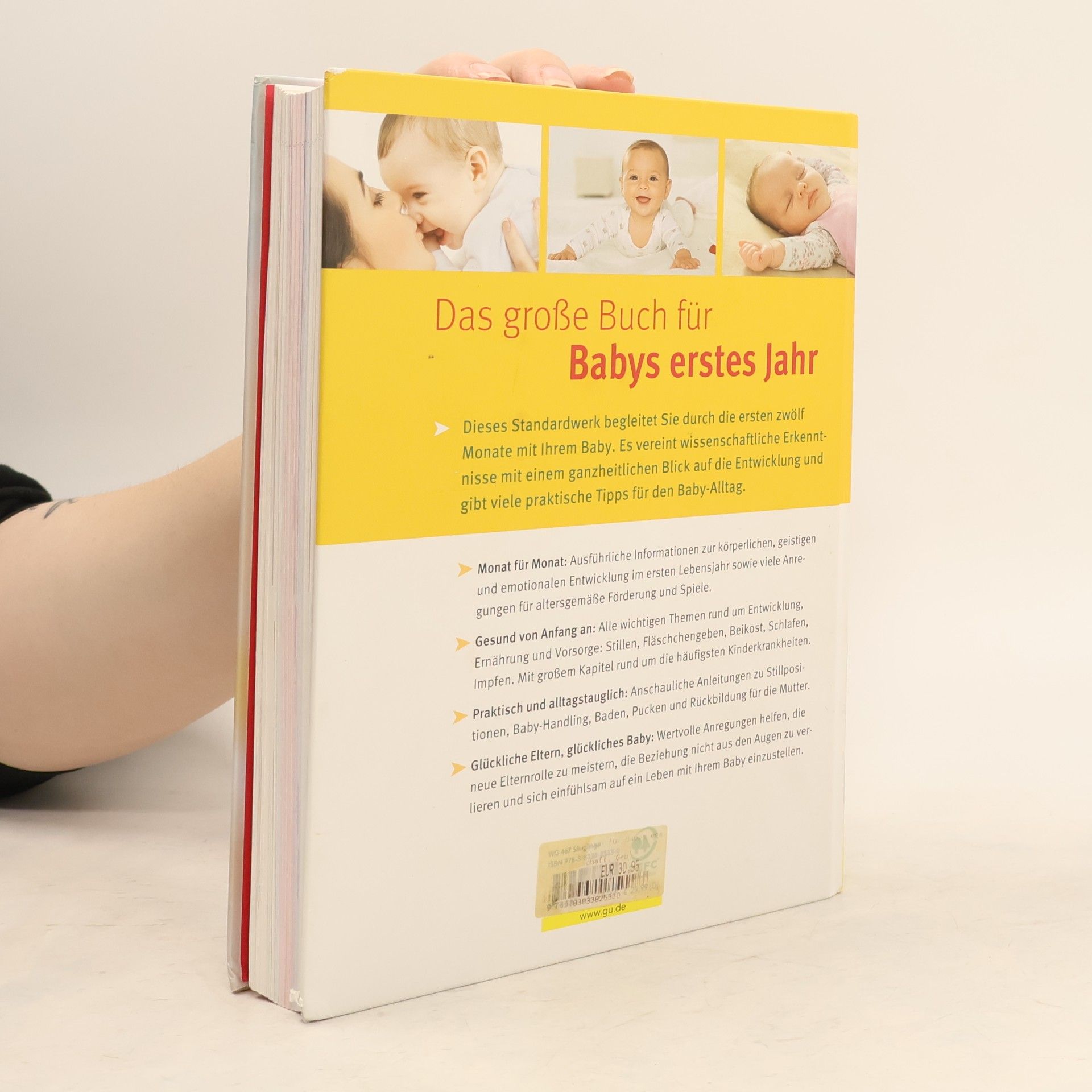 Stephan Nolte Das große Buch für Babys erstes Jahr